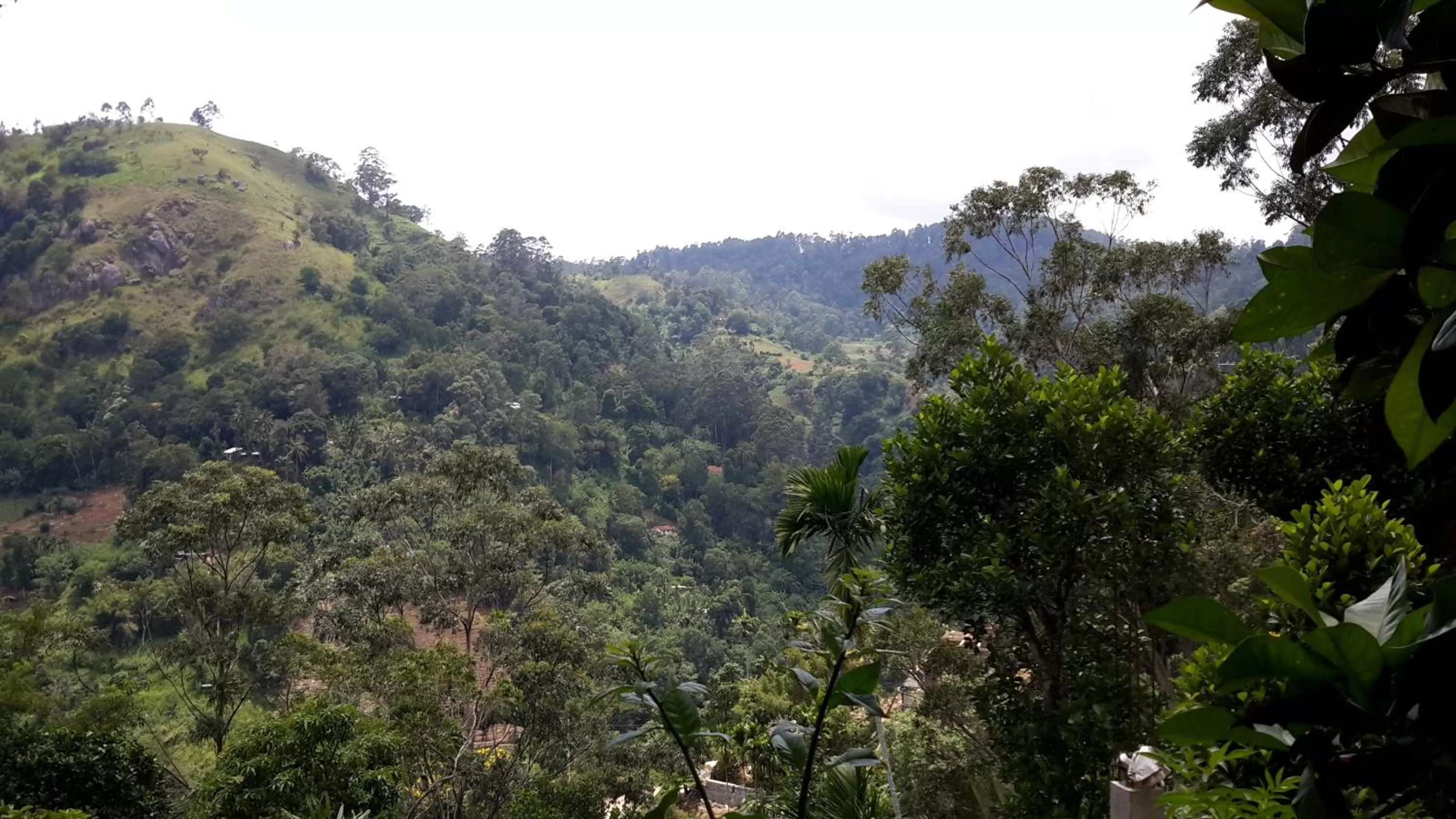 View (from property/room) in Raveena Guest House