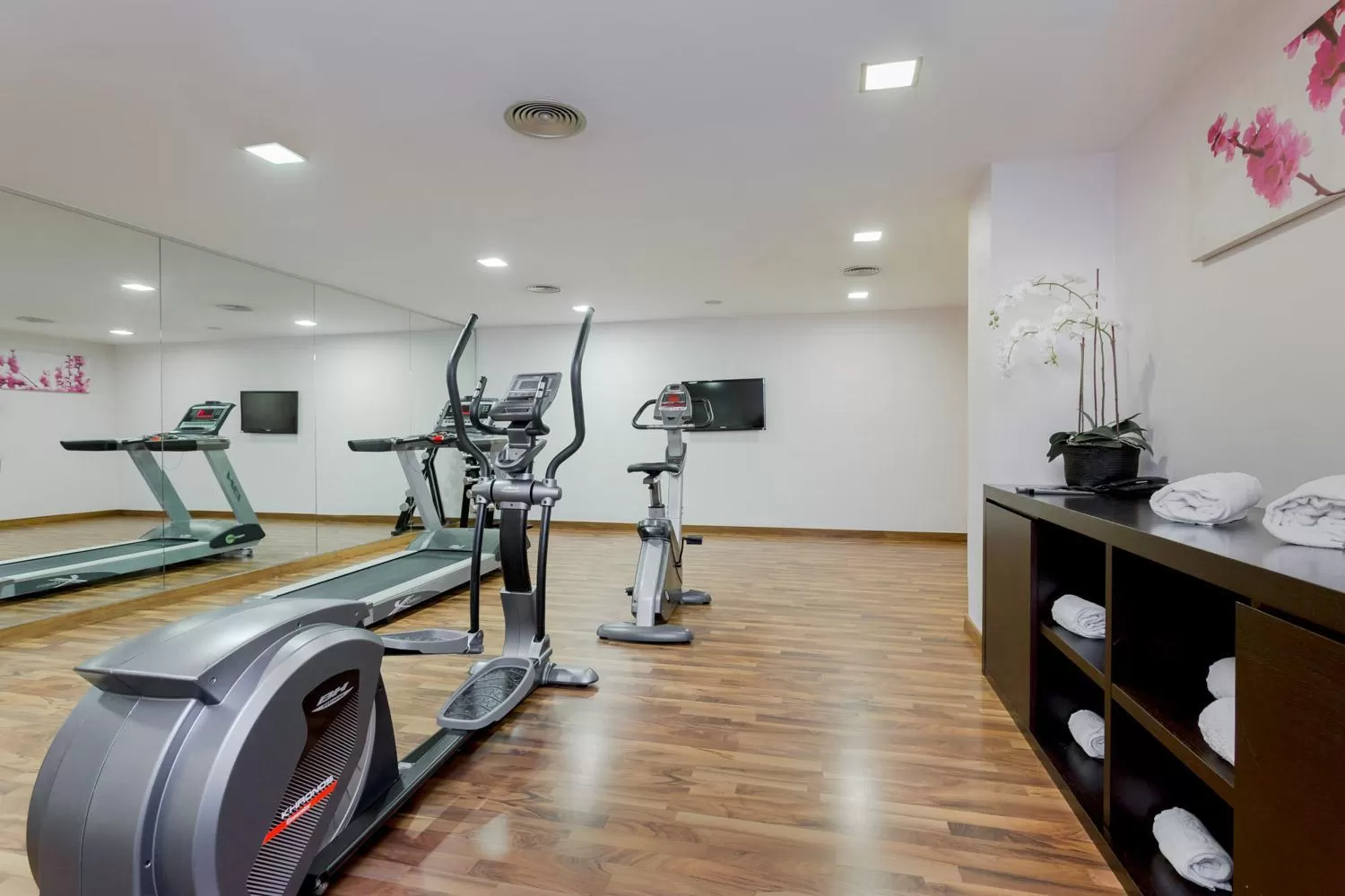 Fitness centre/facilities in Exe Moncloa