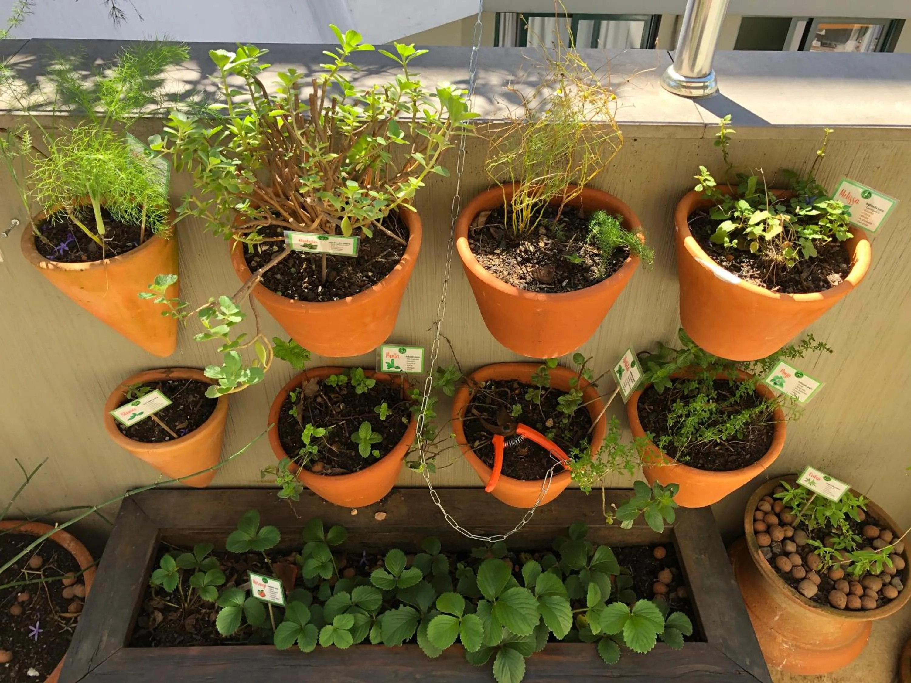 Garden, Food in Eko Residence Hotel