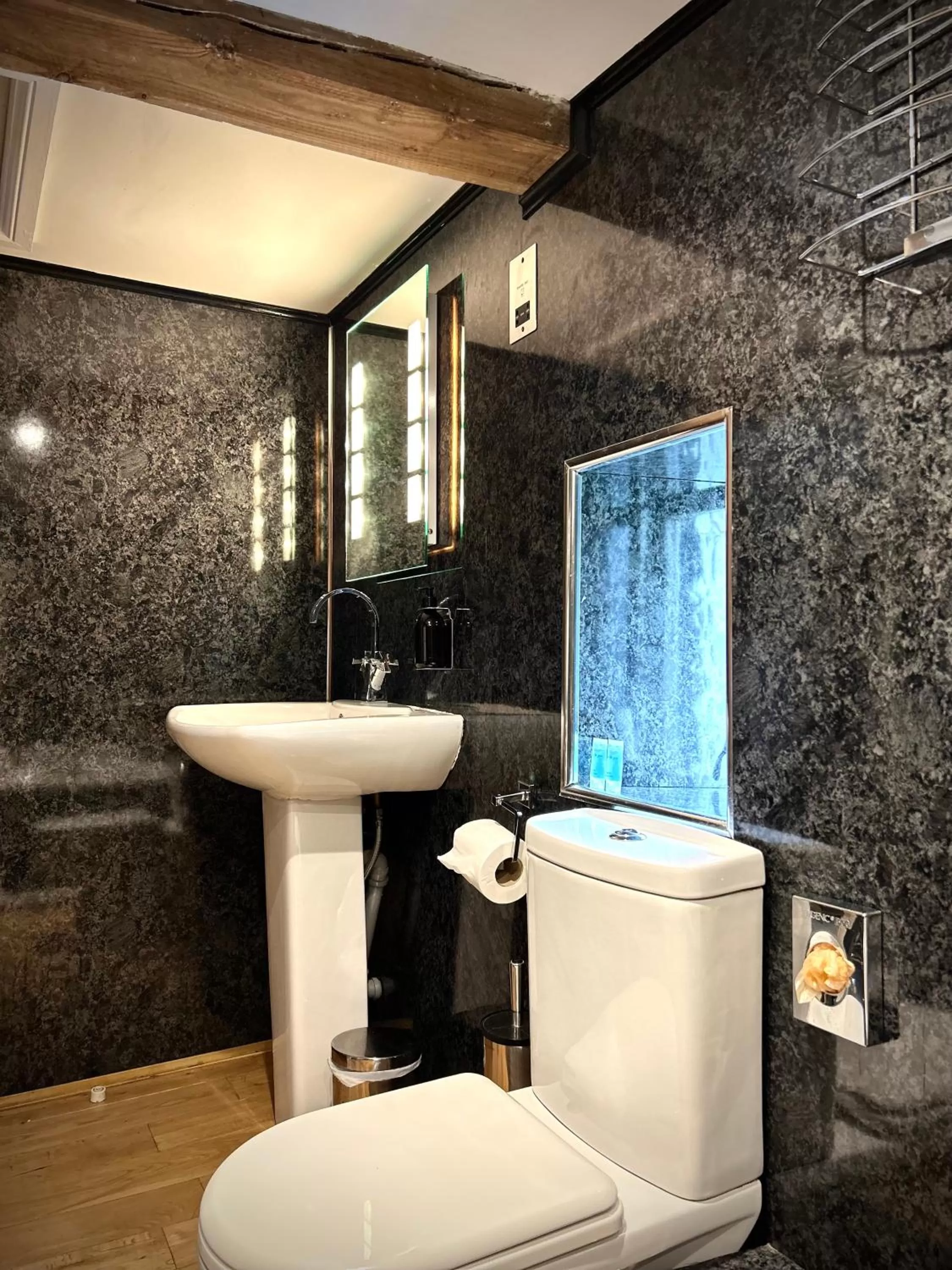 Toilet in Royal Oak Appleby