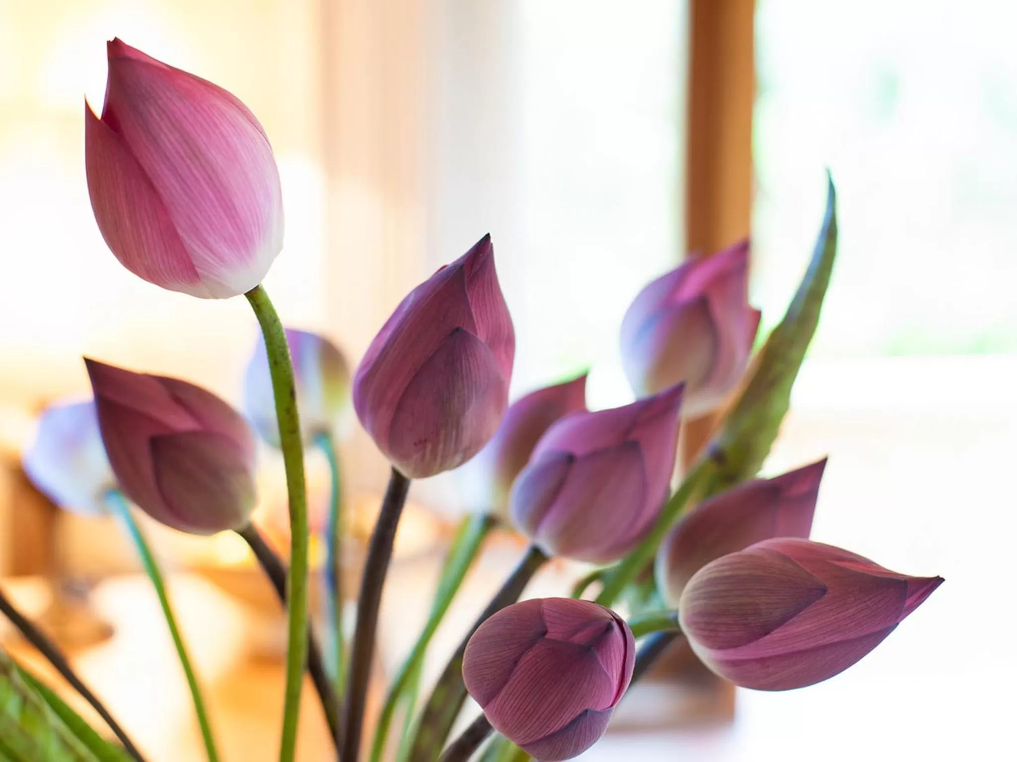 Other in Emeralda Resort Ninh Binh