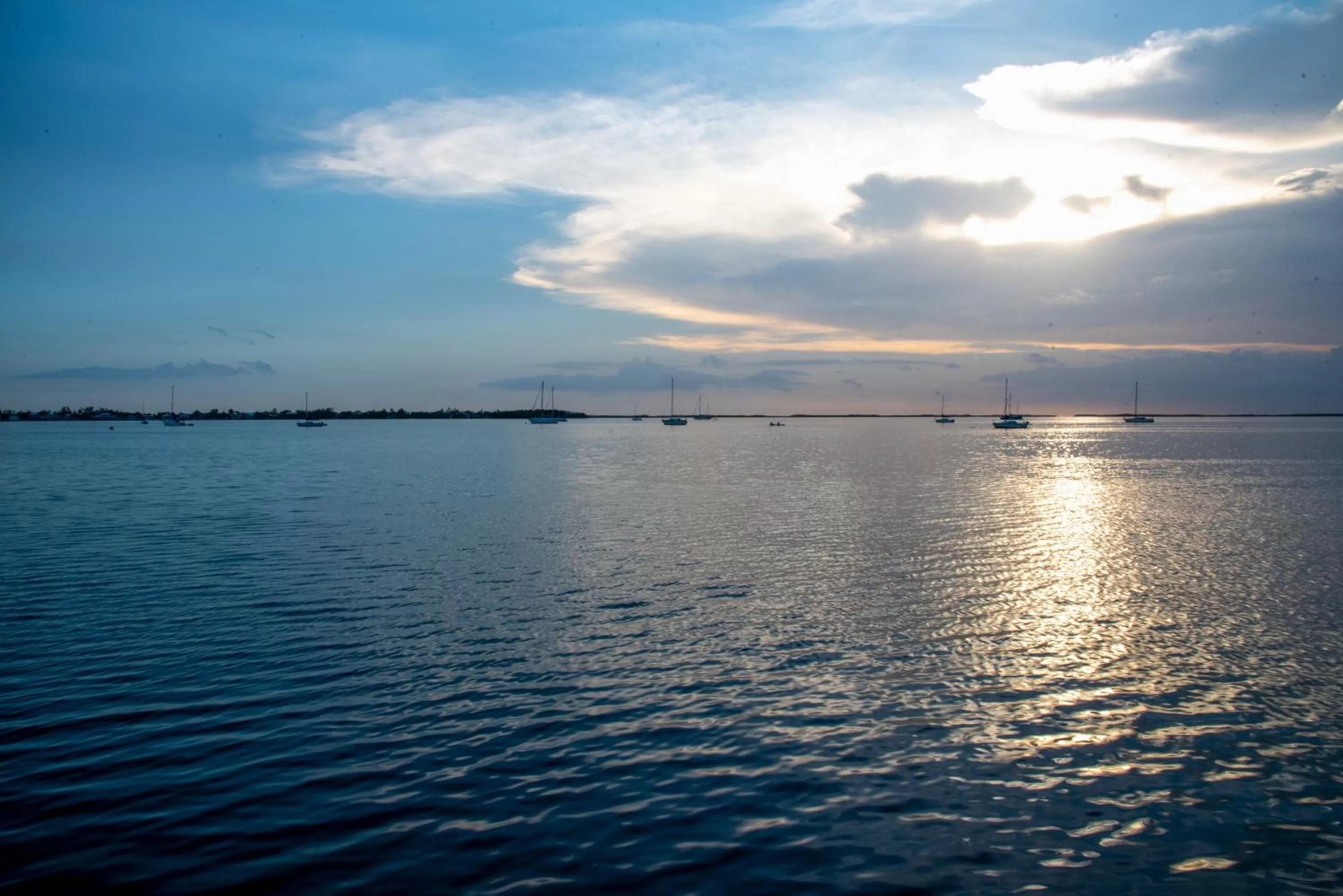 Natural landscape in Bayside Inn Key Largo