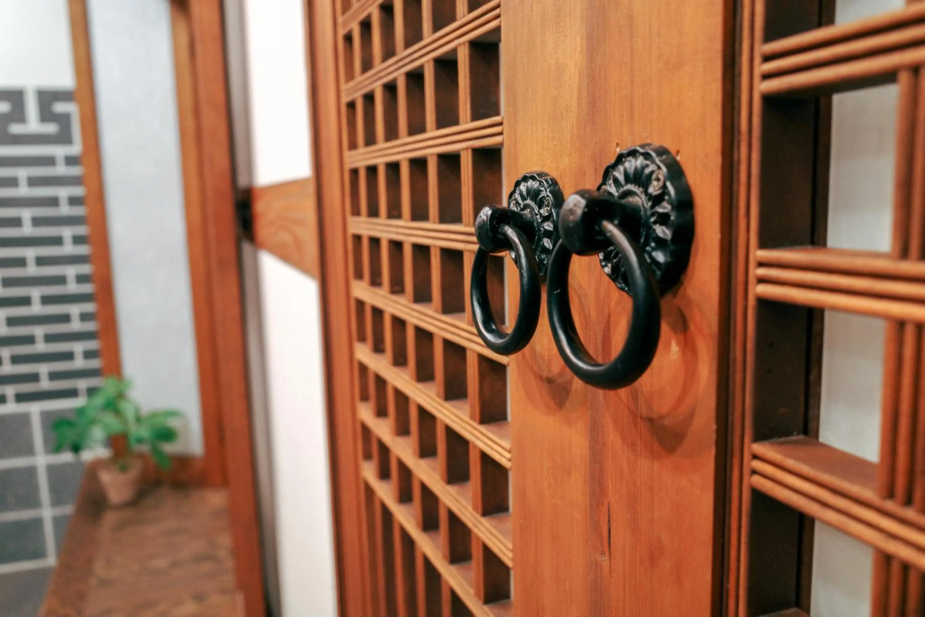 Area and facilities in Starria Hostel foreign guest only