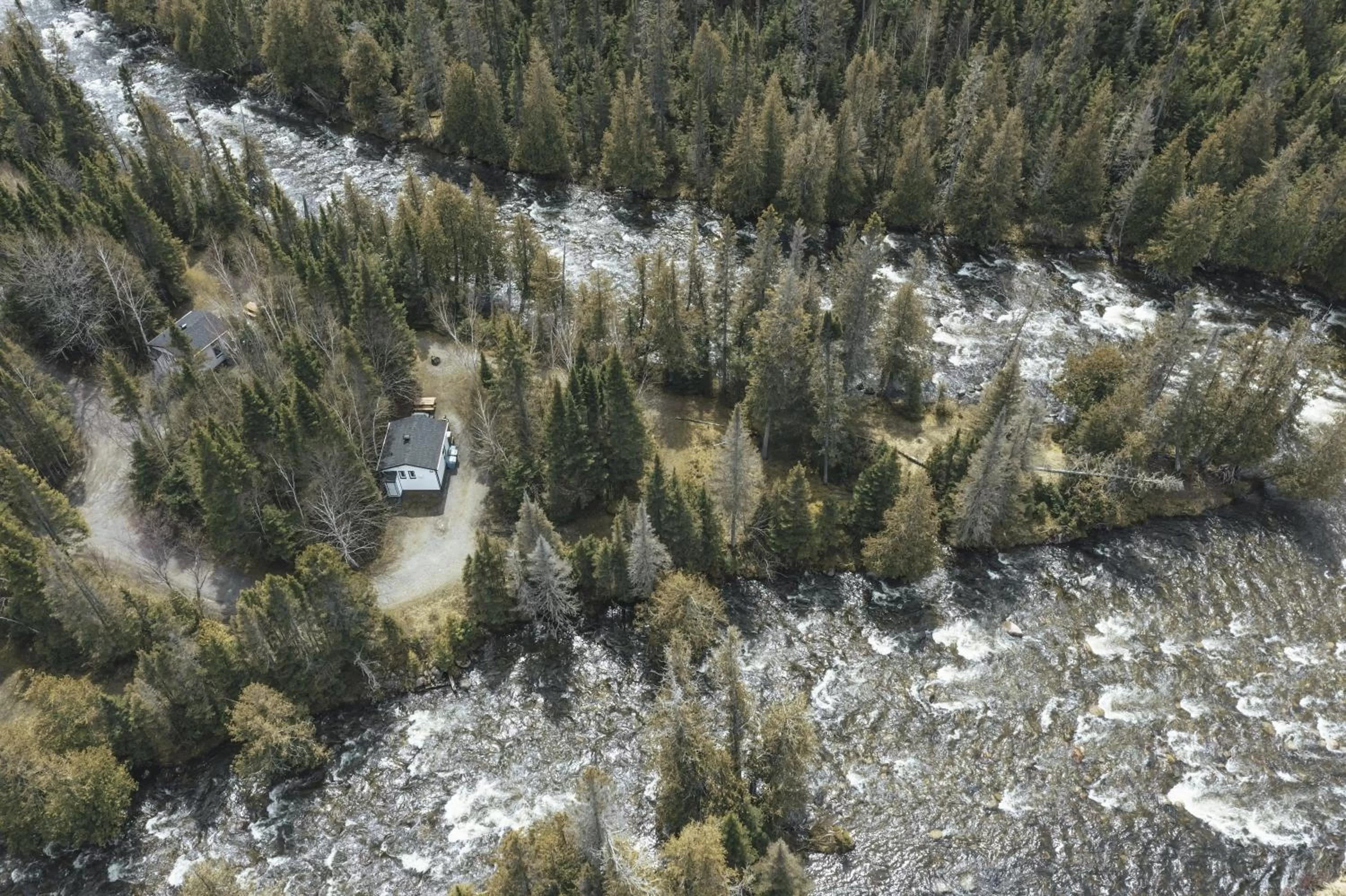 View (from property/room) in Gîte du Mont-Albert - Sepaq