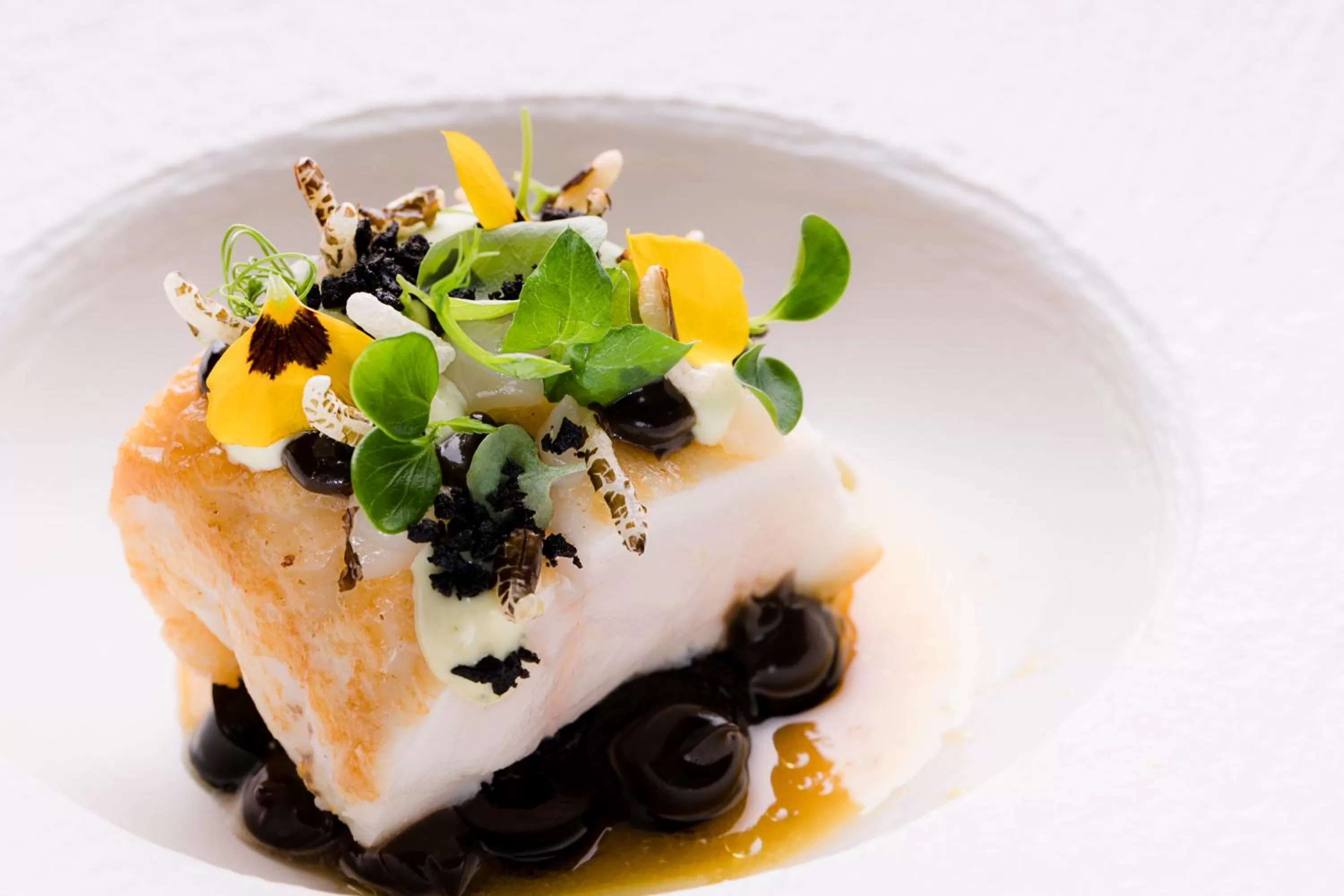 Property building in Klein Zwitserland