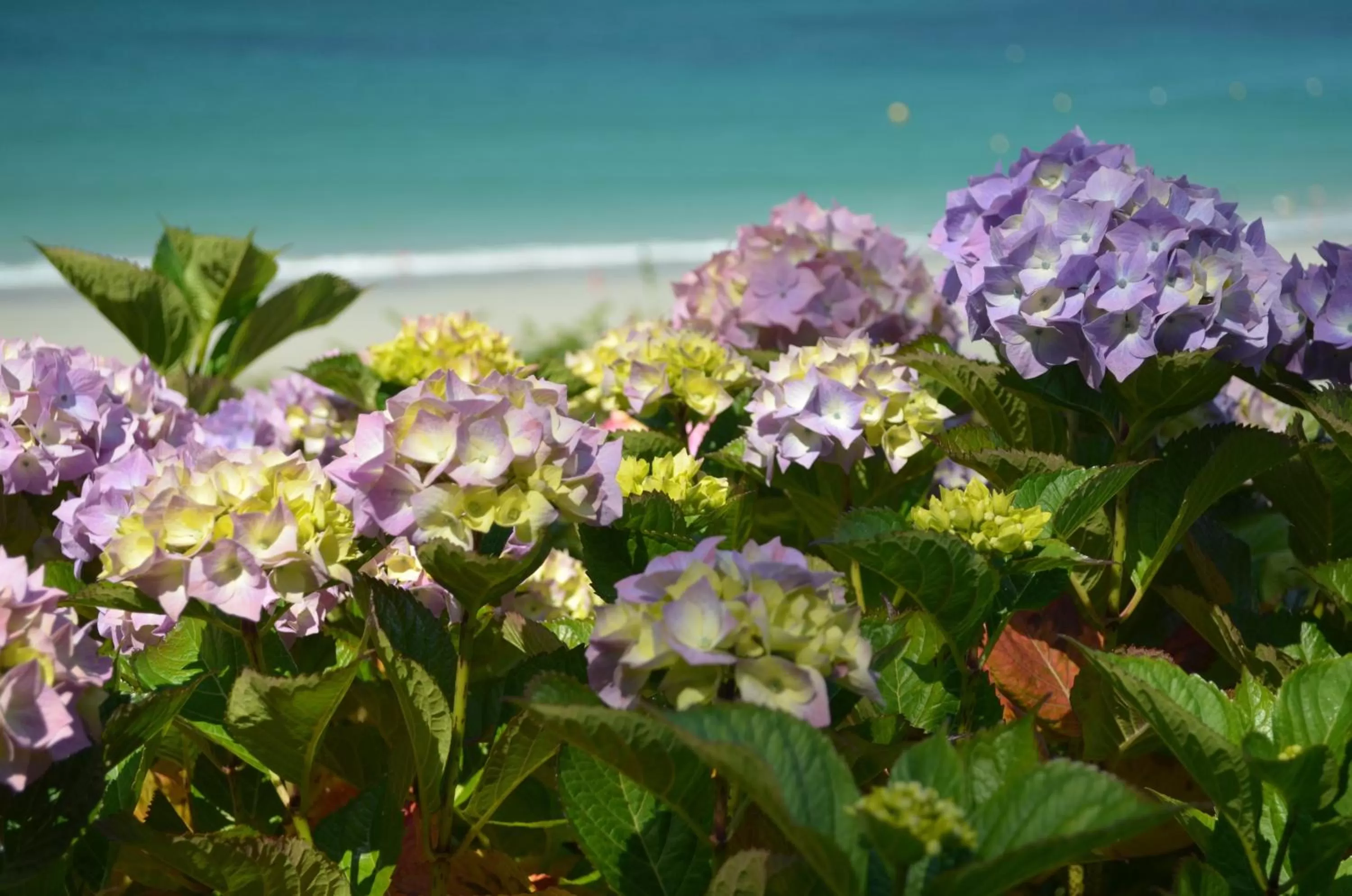 Beach in Hôtel Les Costans, The Originals Relais
