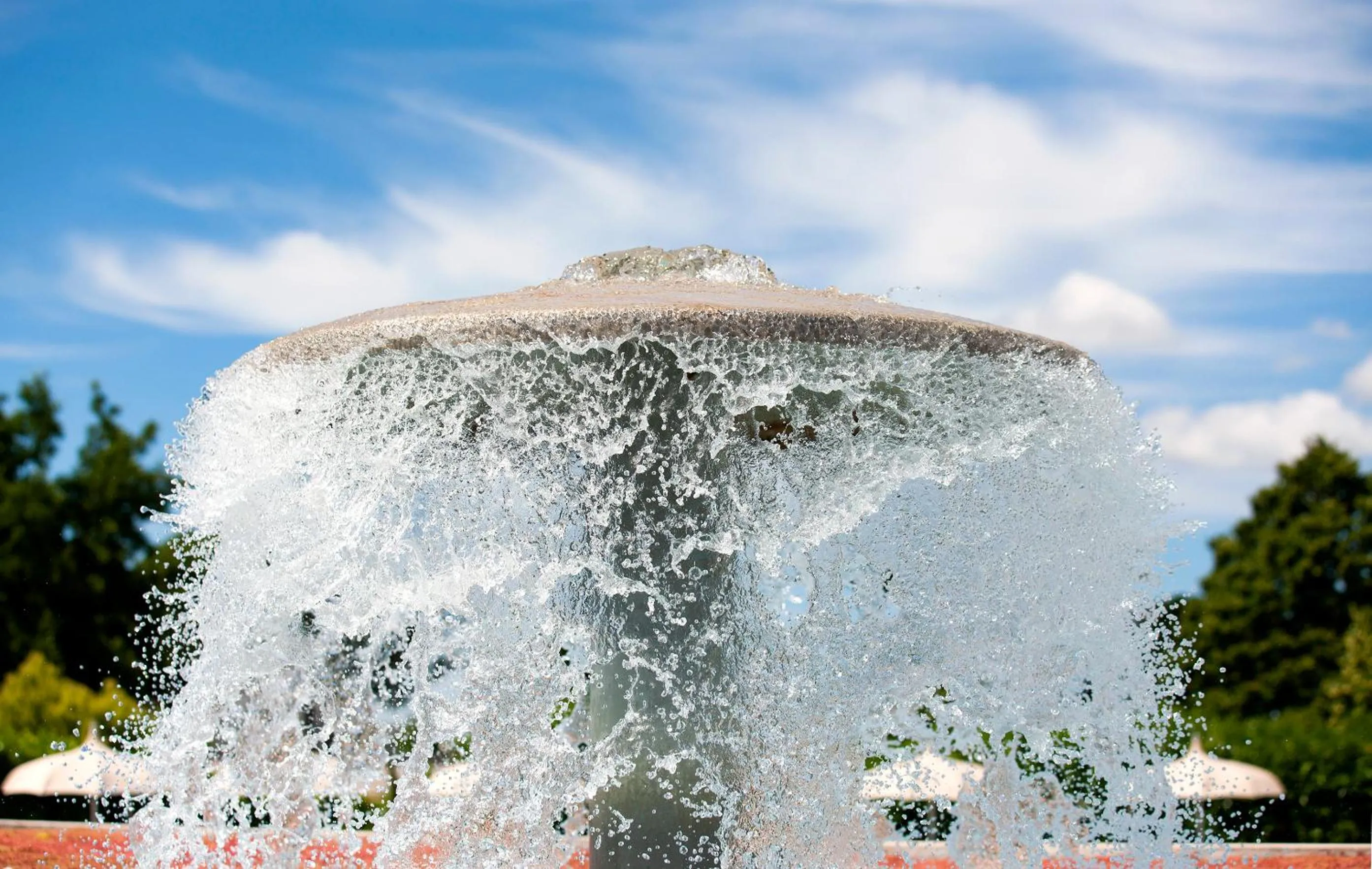 Swimming pool in Hotel Salus Terme - Adults Only