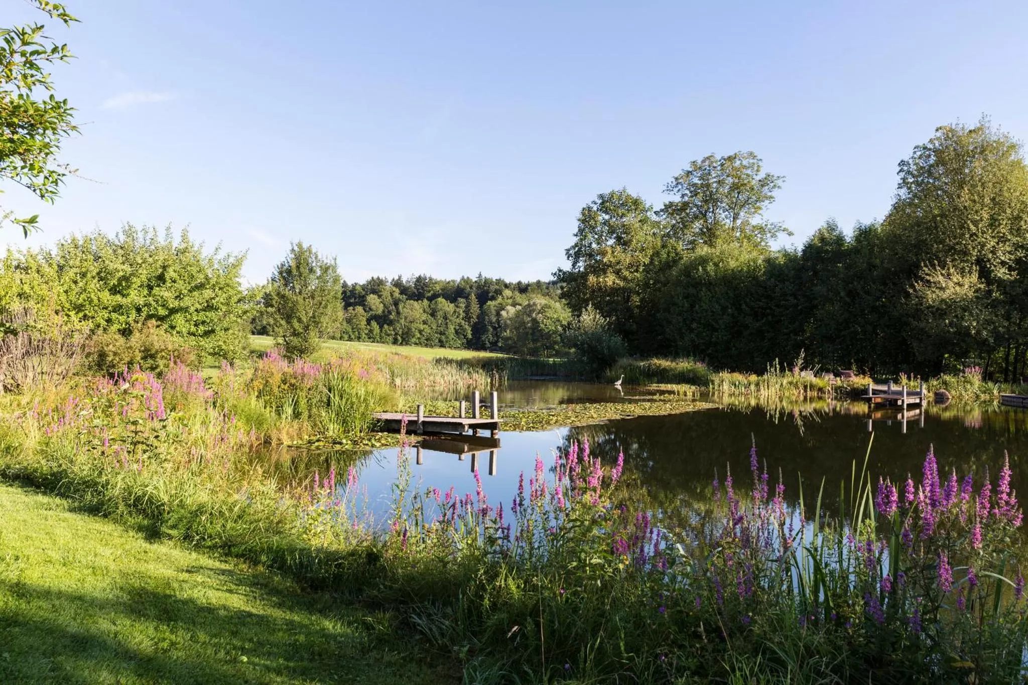 Garden in Hotel Hörterer Der Hammerwirt