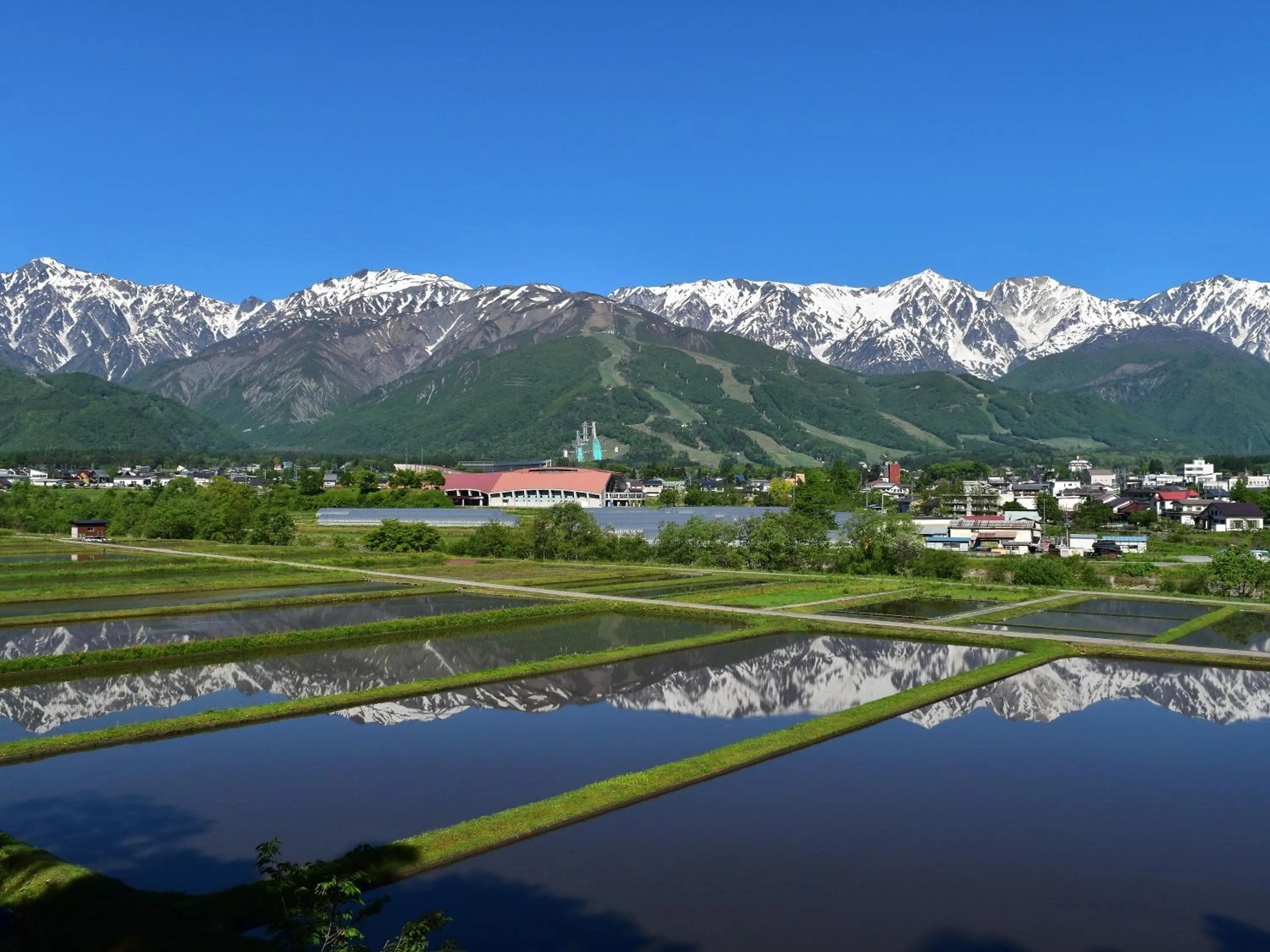 Neighbourhood in Hotel La Neige