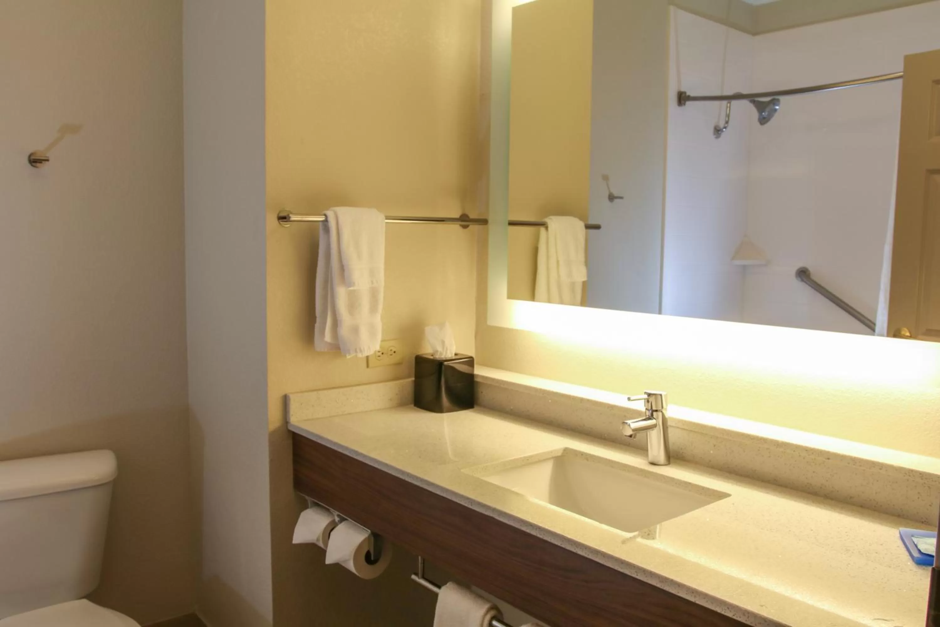 Bathroom in Holiday Inn Express Hotel & Suites Mount Pleasant by IHG