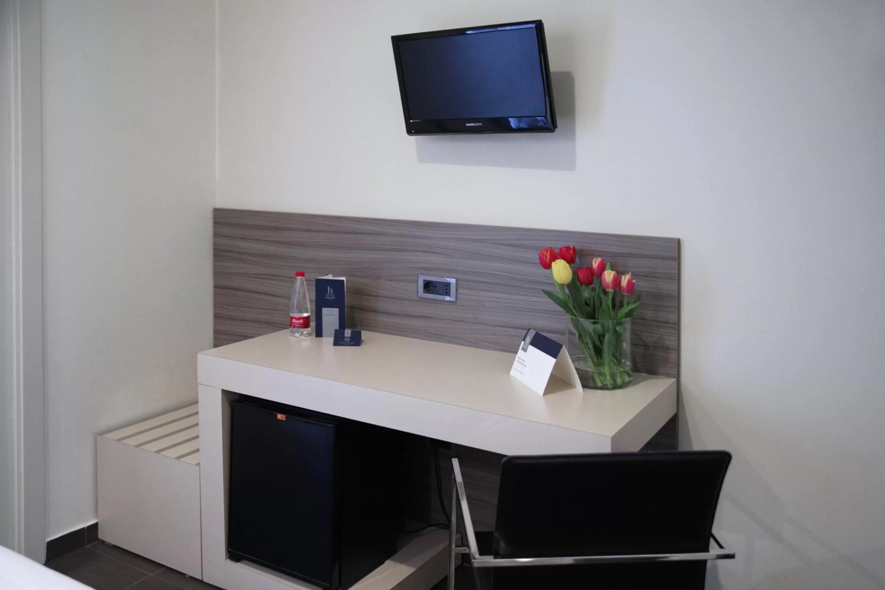 TV and multimedia in Hotel Palace