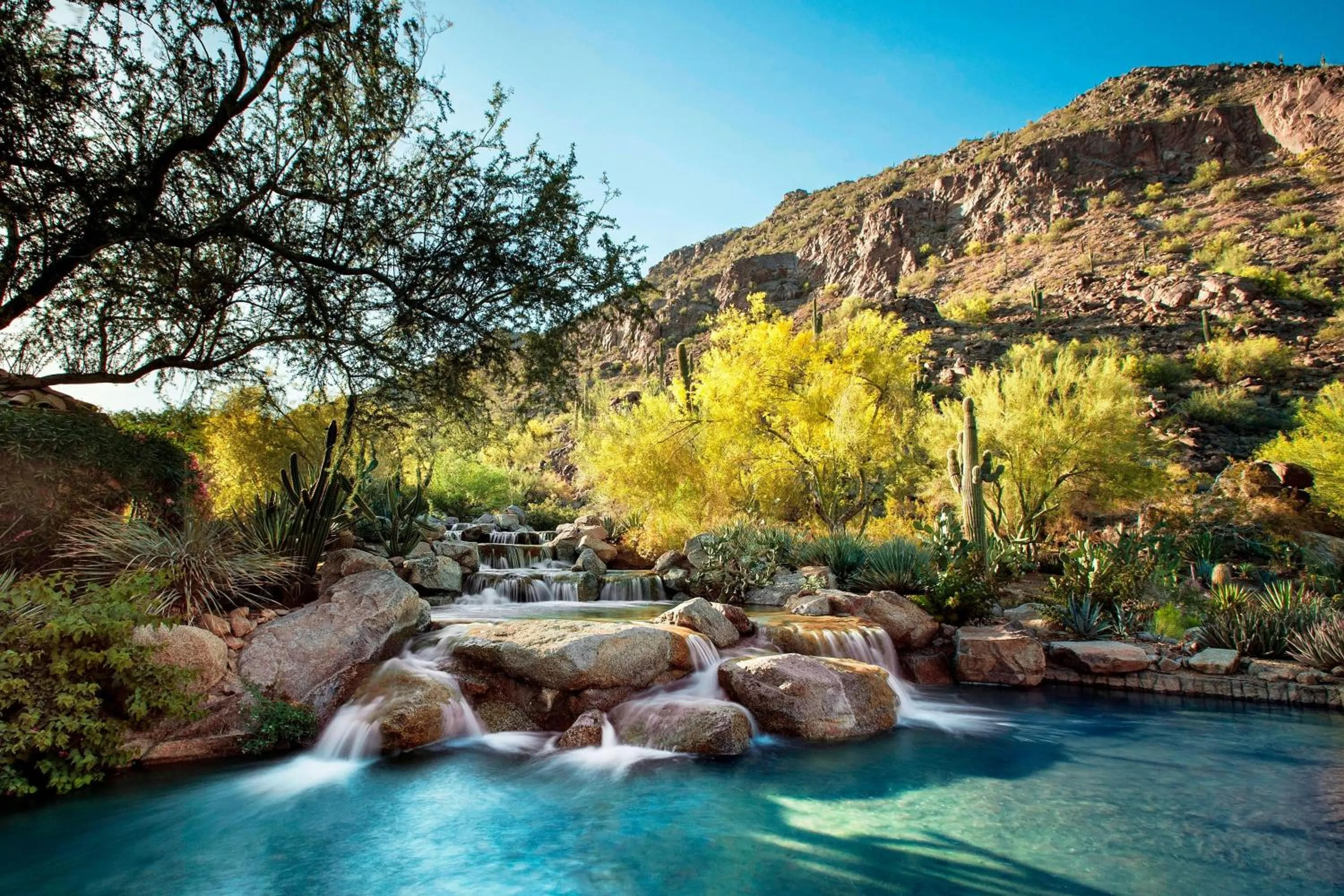 View (from property/room) in The Canyon Suites at The Phoenician, a Luxury Collection Resort, Scottsdale