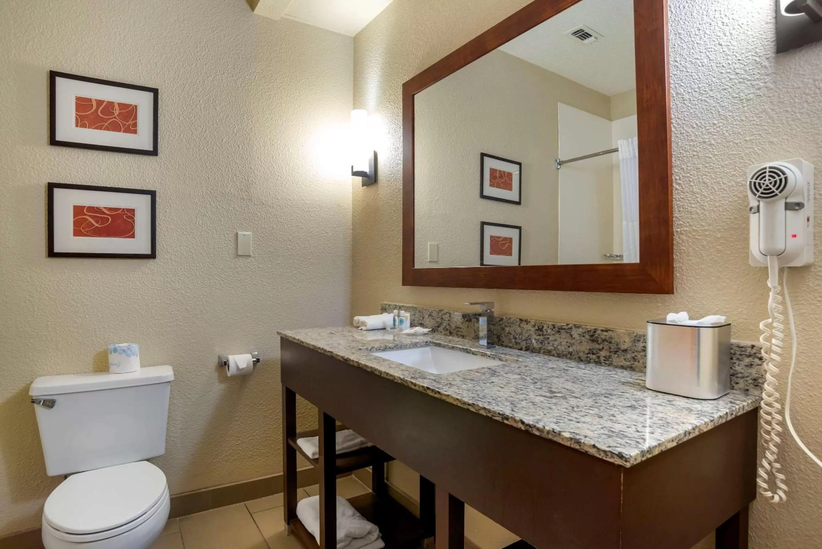 King Suite with Roll-In Shower - Accessible/Non-Smoking in Comfort Suites Hattiesburg
