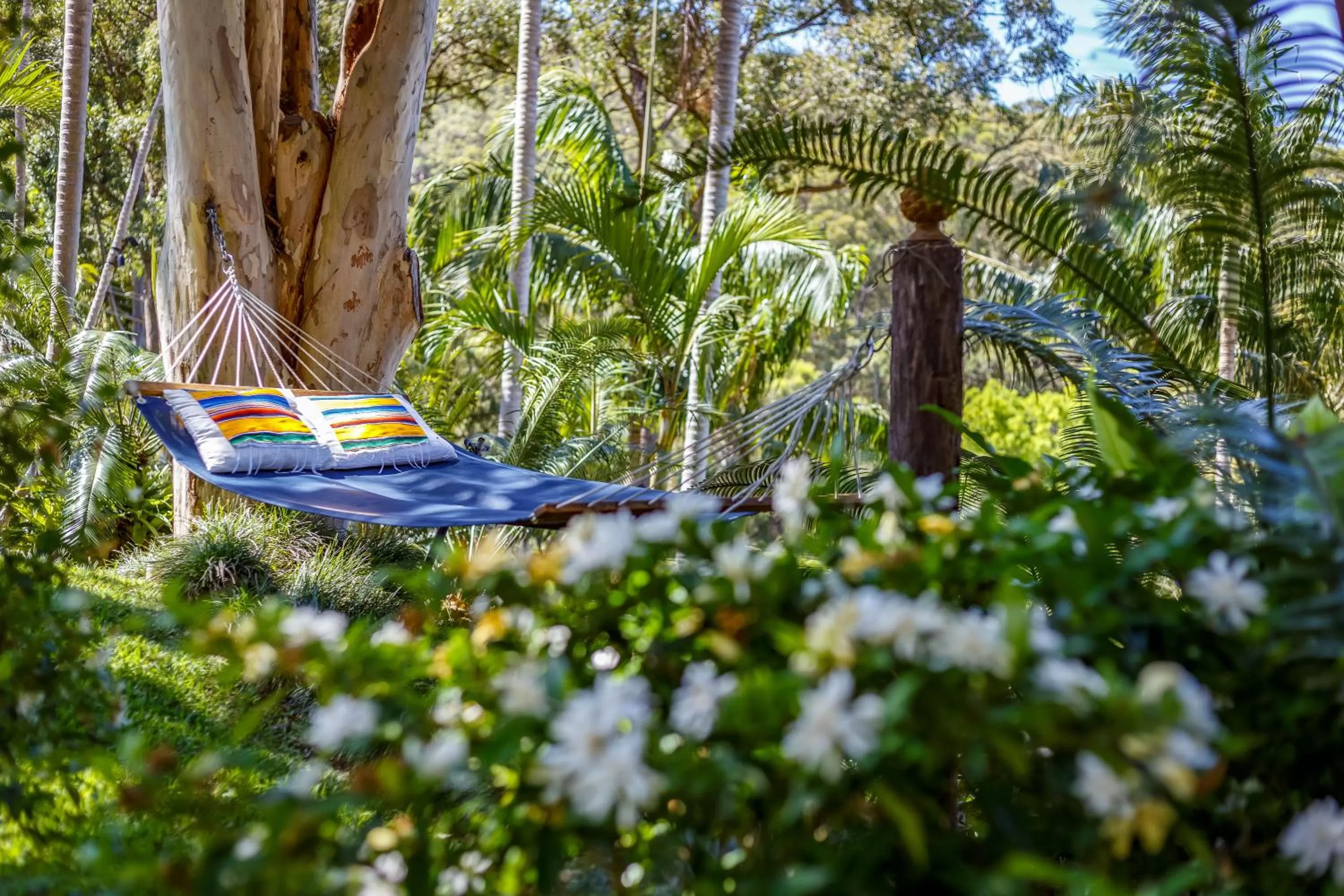 Garden, Other Animals in Sensom Luxury Boutique Bed and Breakfast