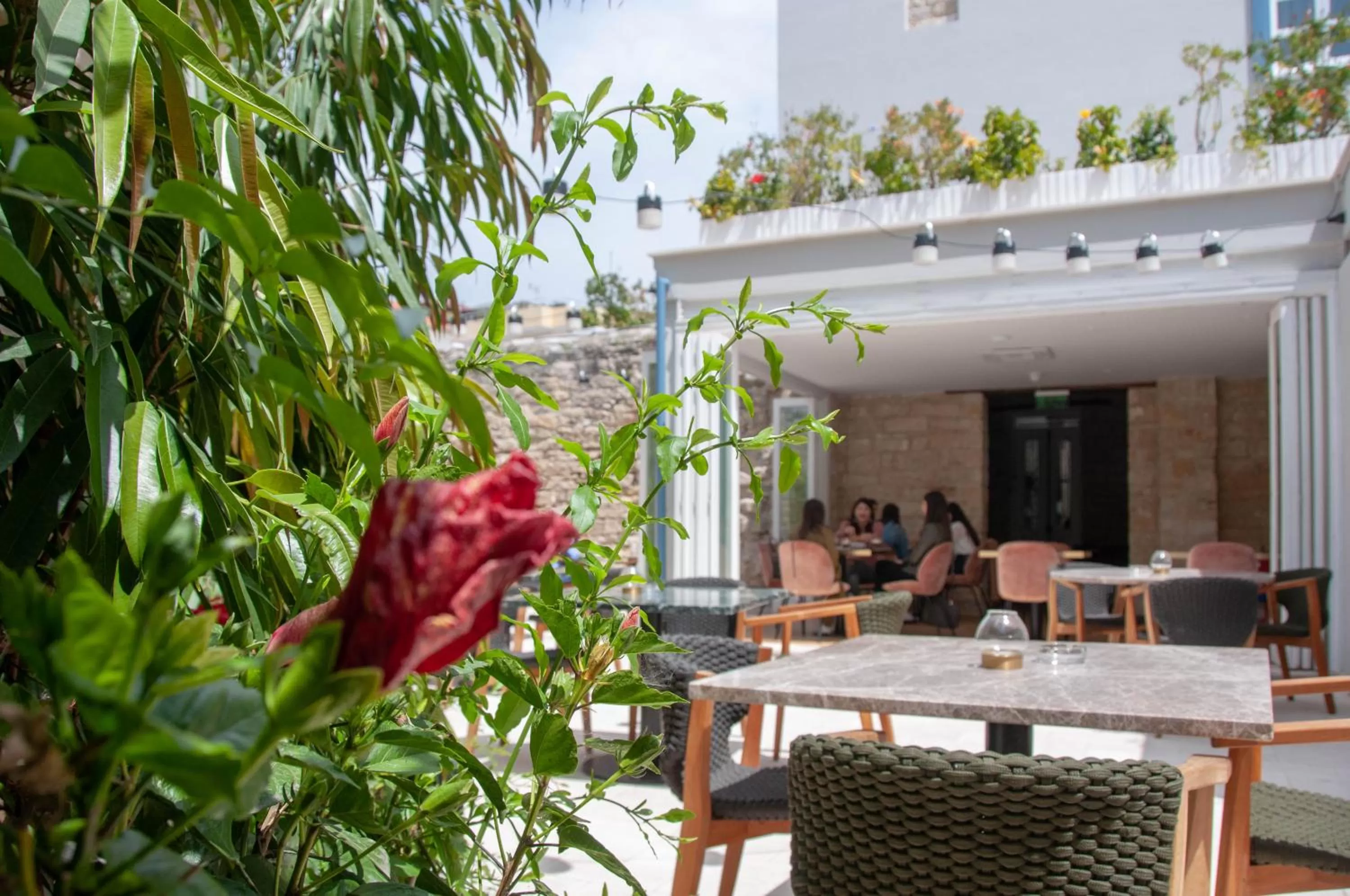 Restaurant/places to eat in S Paul City Hotel