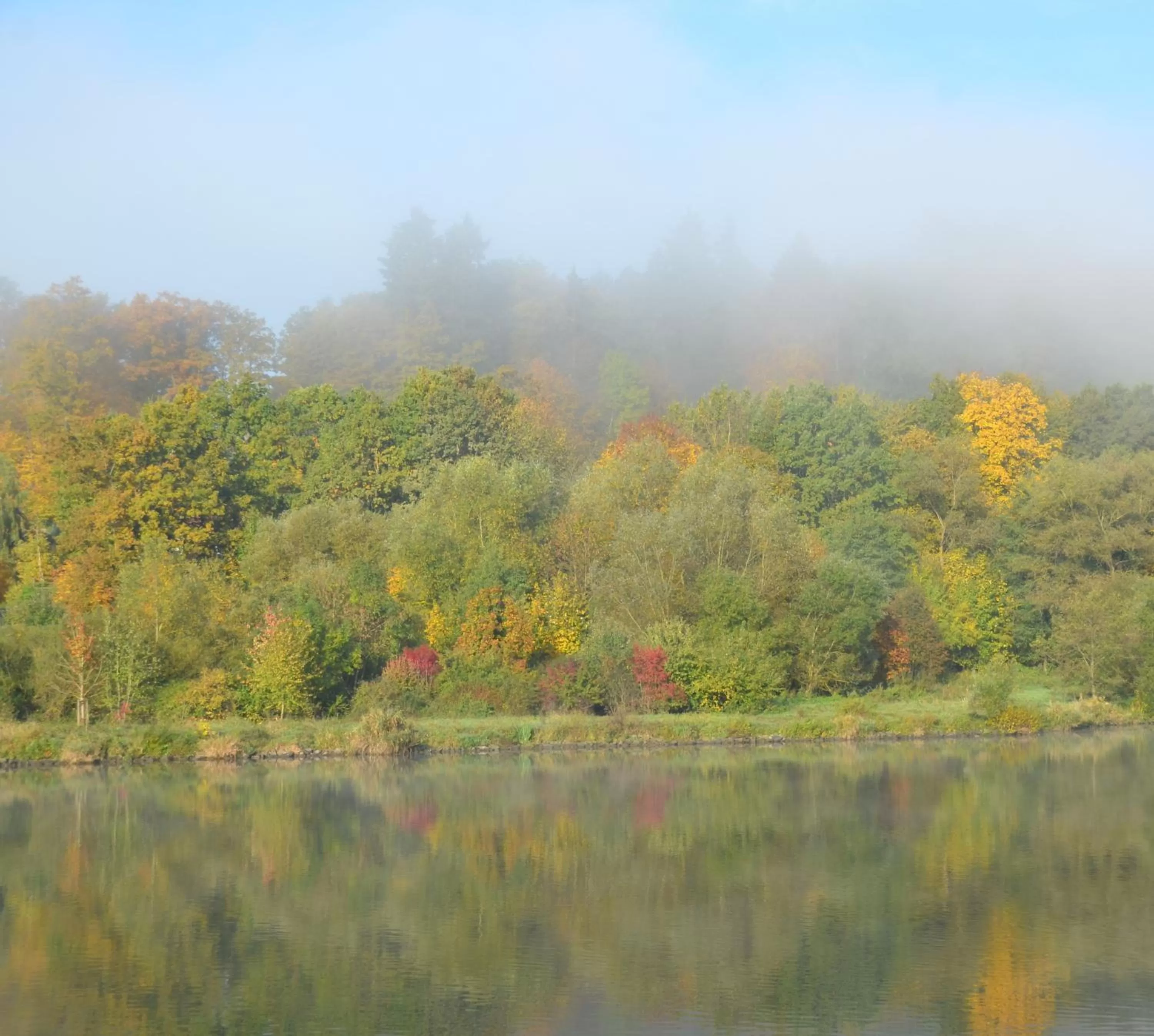 Natural landscape in Hotel Mainblick Garni