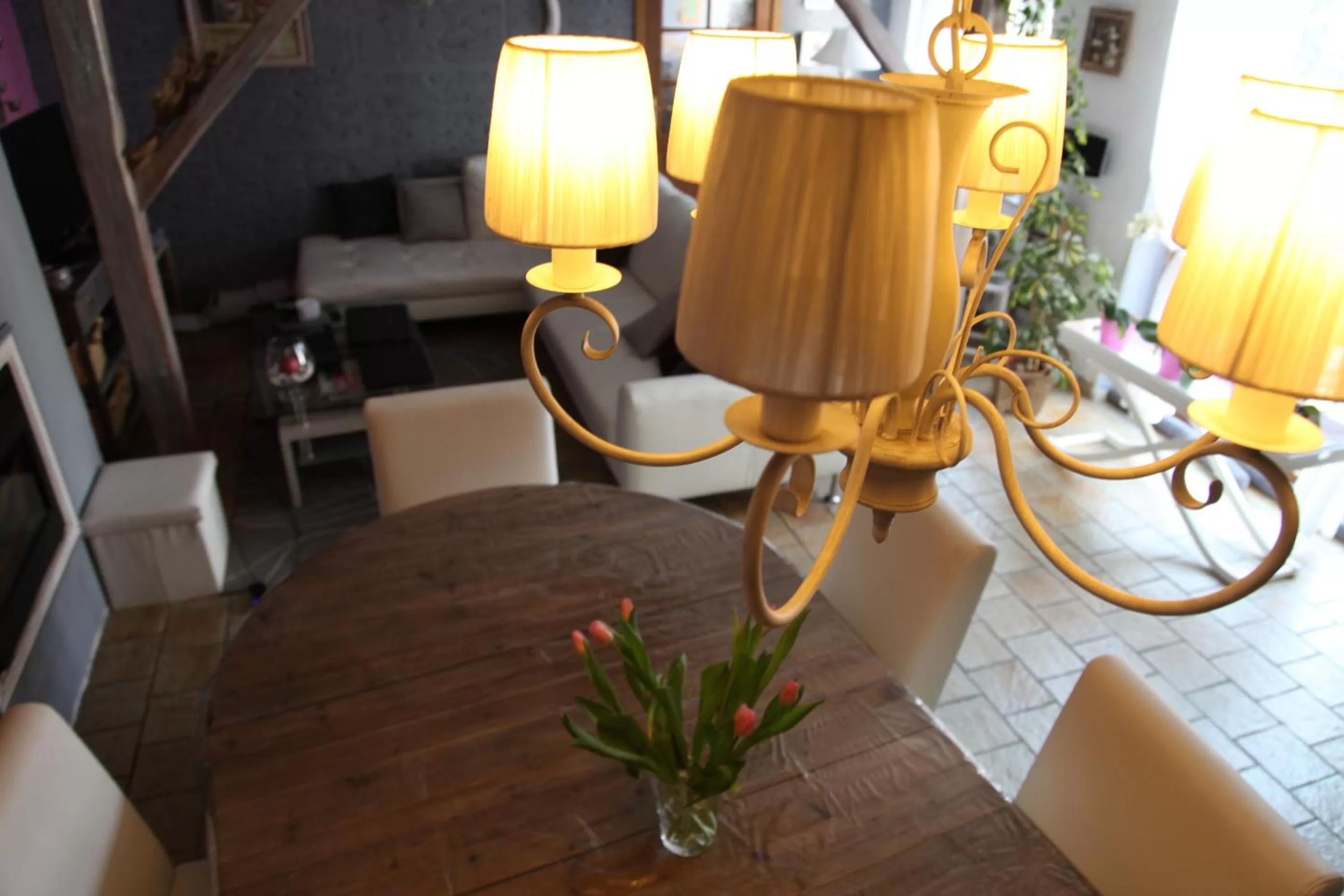 Area and facilities in B&B La maison de Régine