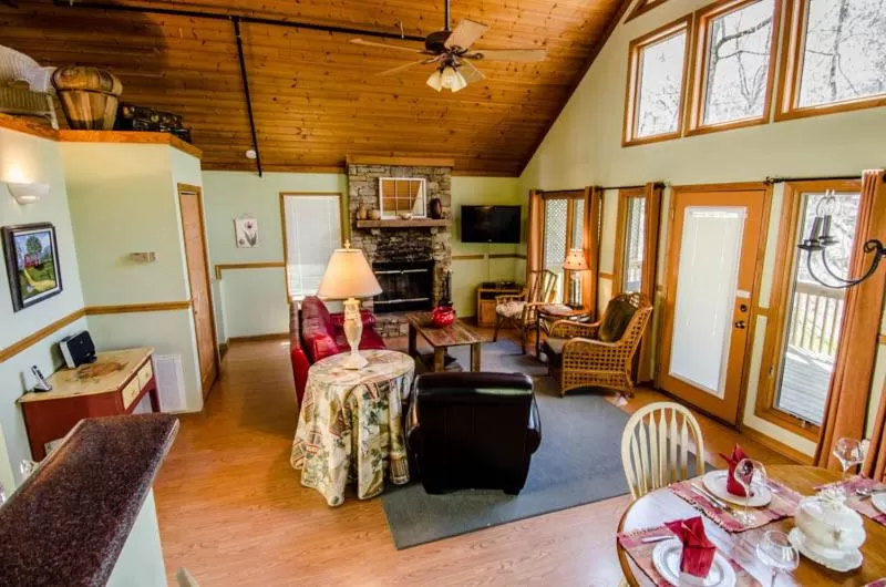 Living room, Seating Area in Asheville Cabins of Willow Winds