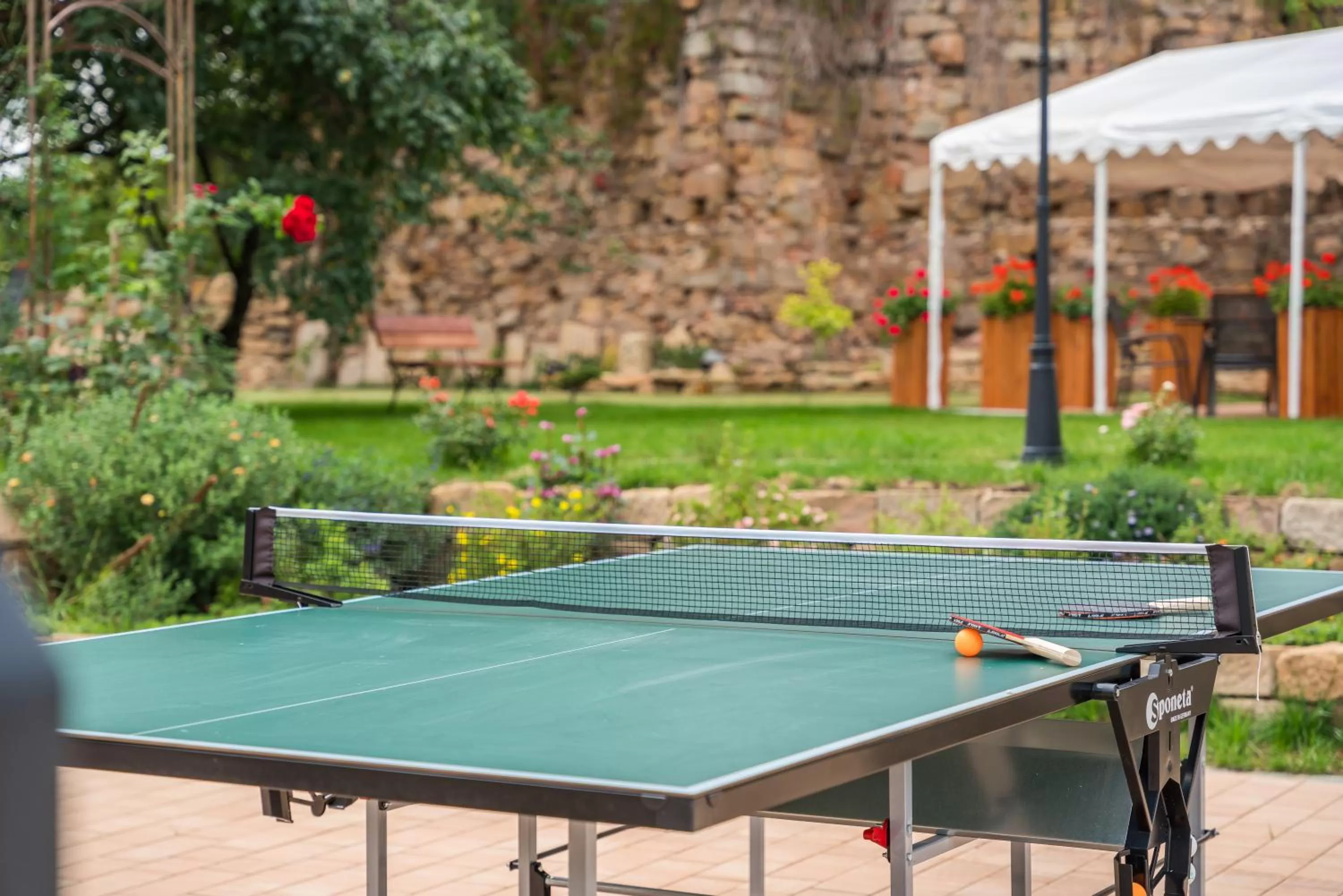 Property building, Table Tennis in Villa Libosad