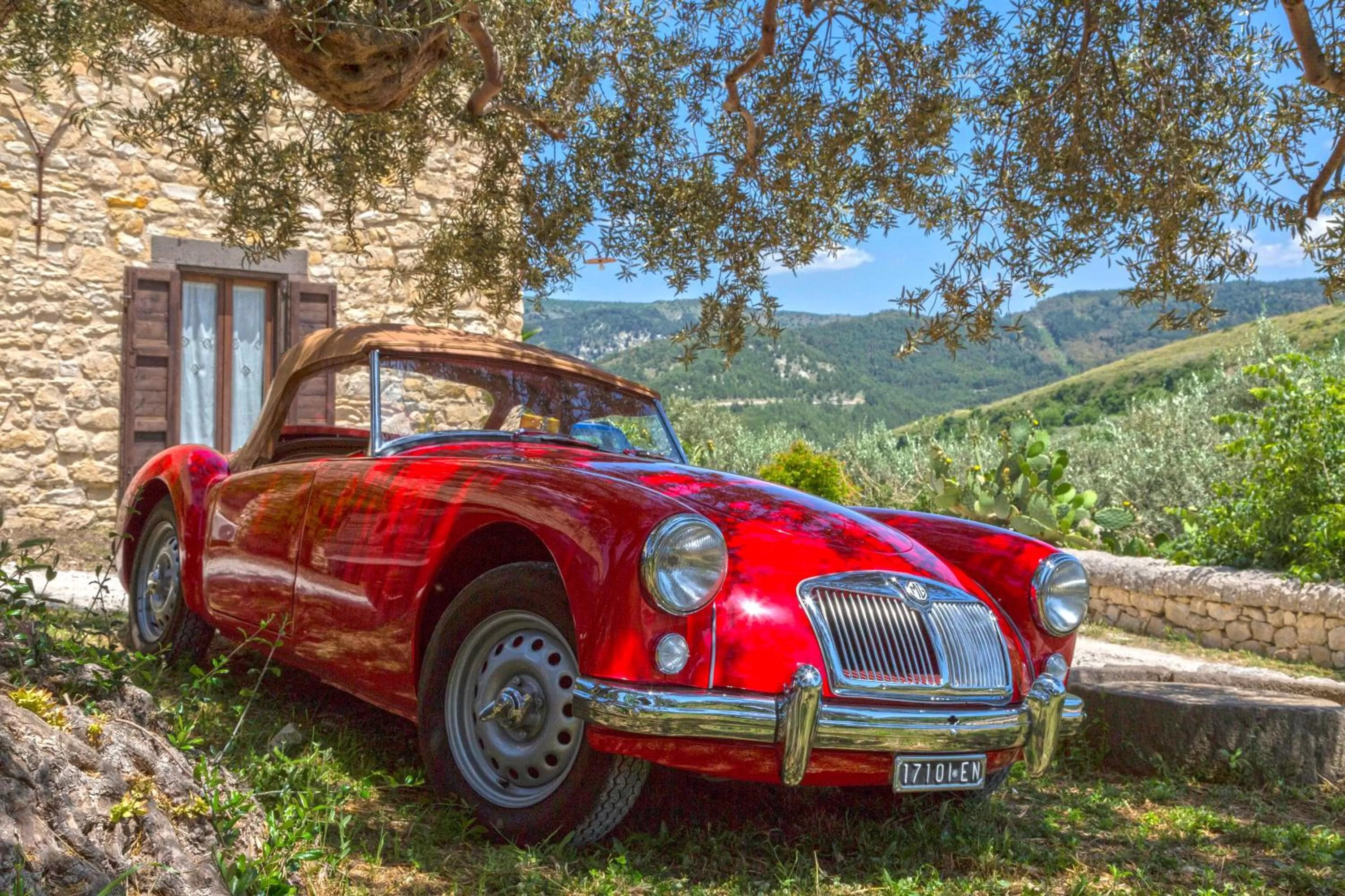 Day in Masseria Fortificata Lo Zafferaneto