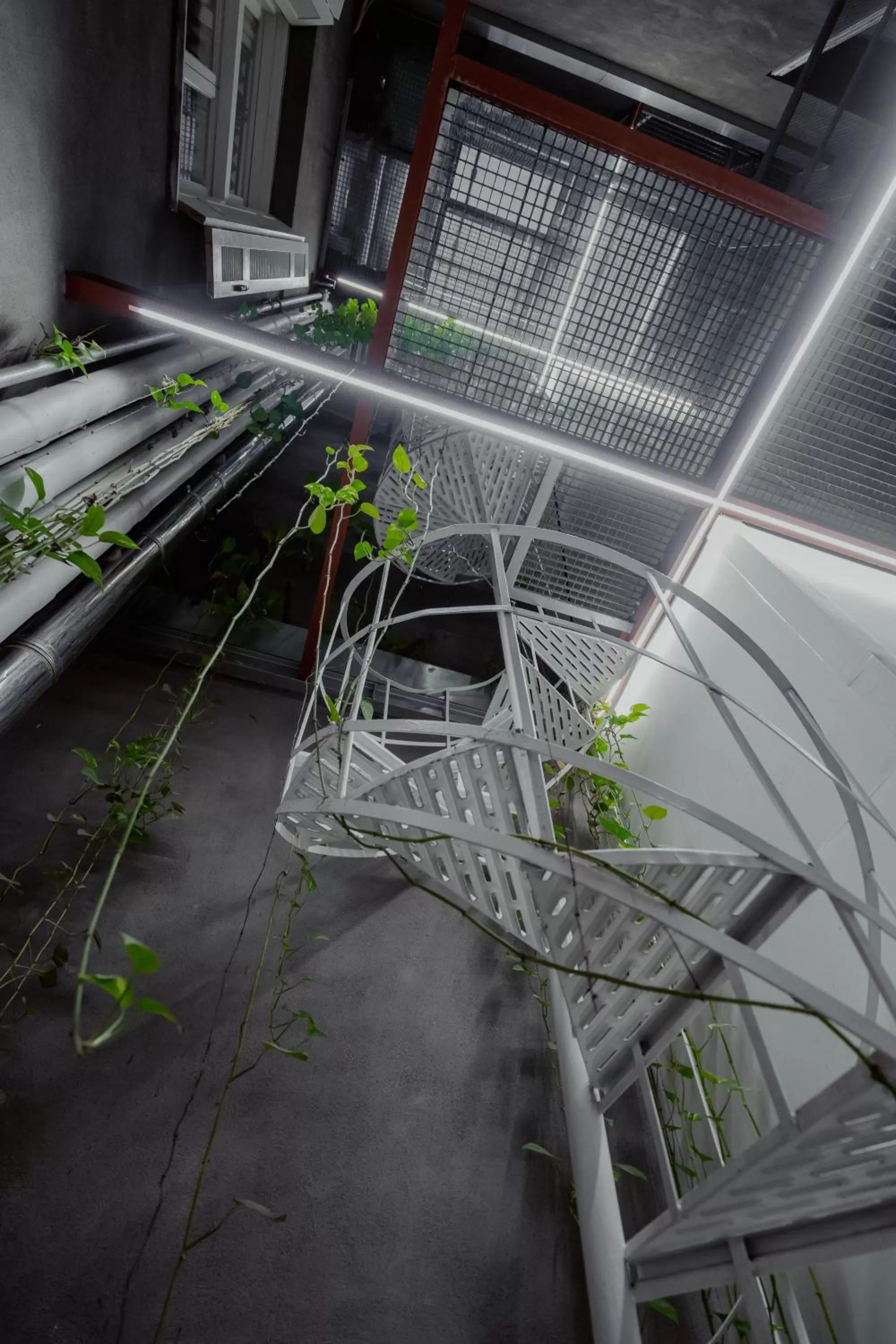 View (from property/room) in The Zillers Boutique Hotel