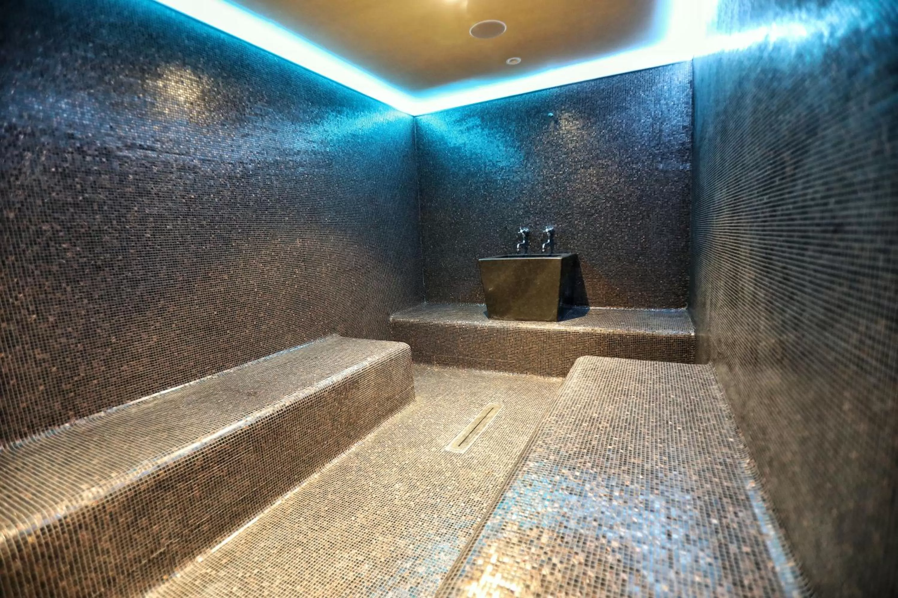 Steam room in Privilege Hotel & Spa