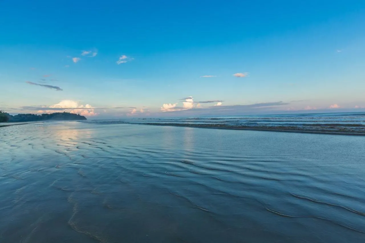 Beach in Beringgis Beach Resort & Spa