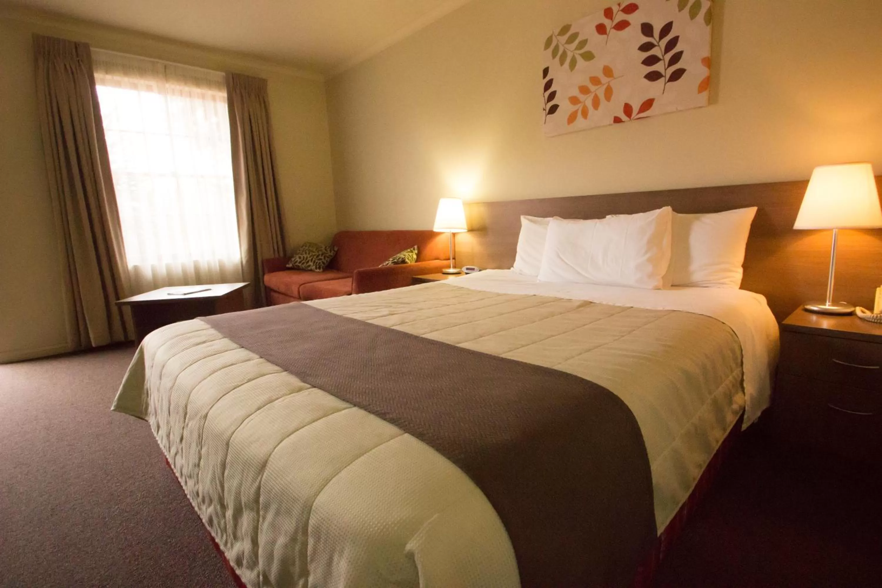 Other, Bed in Old Willyama Motor Inn