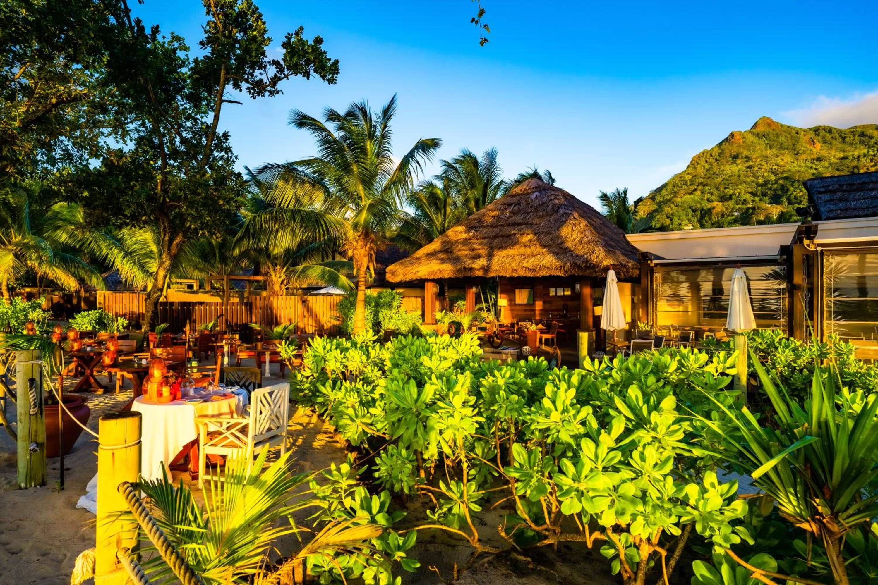 Restaurant/places to eat in STORY Seychelles