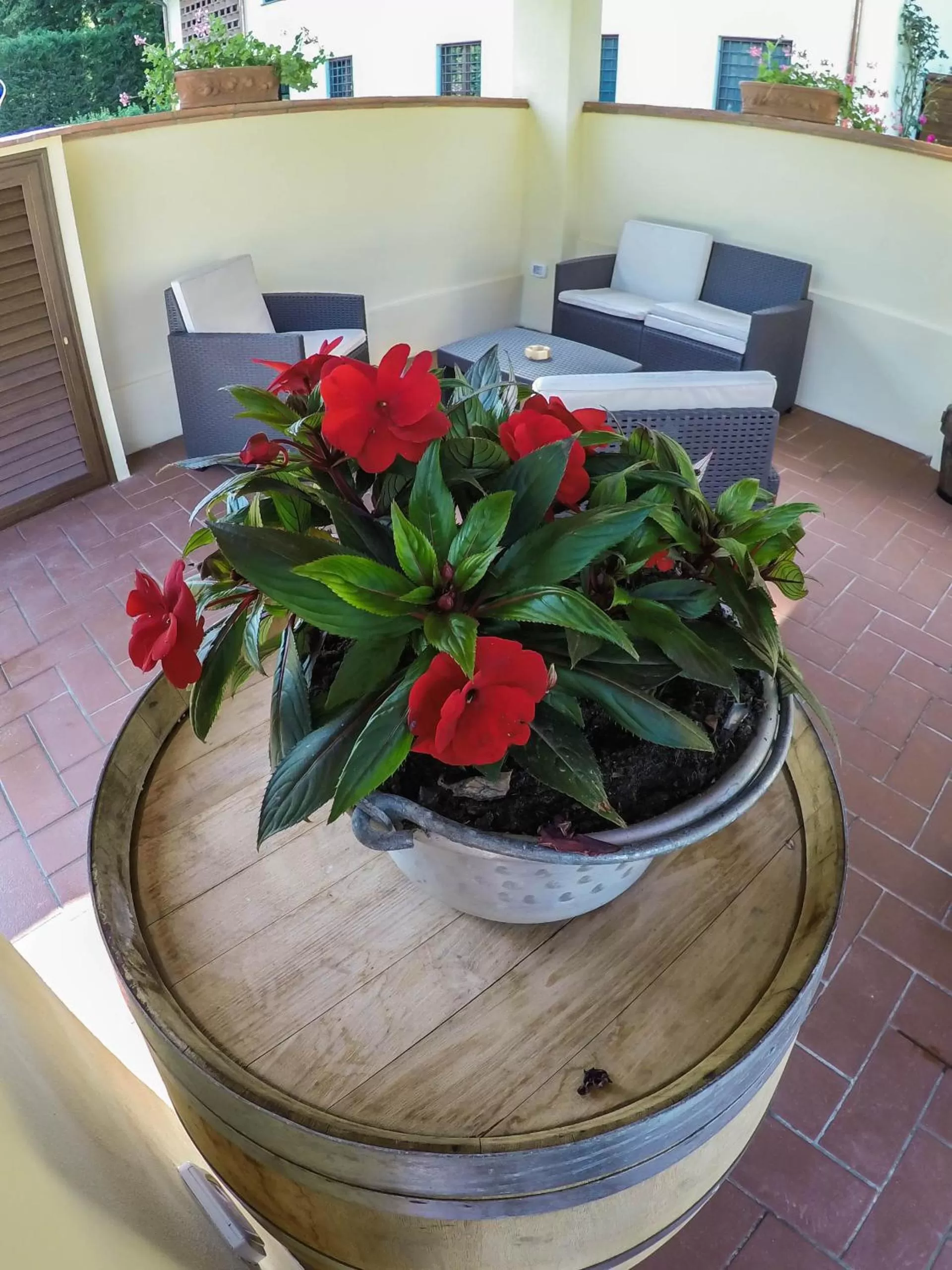 Facade/entrance in CASALE LA FATA -tipico toscano immerso nelle colline tra Lucca e Versilia, 6 appartamenti indipendenti