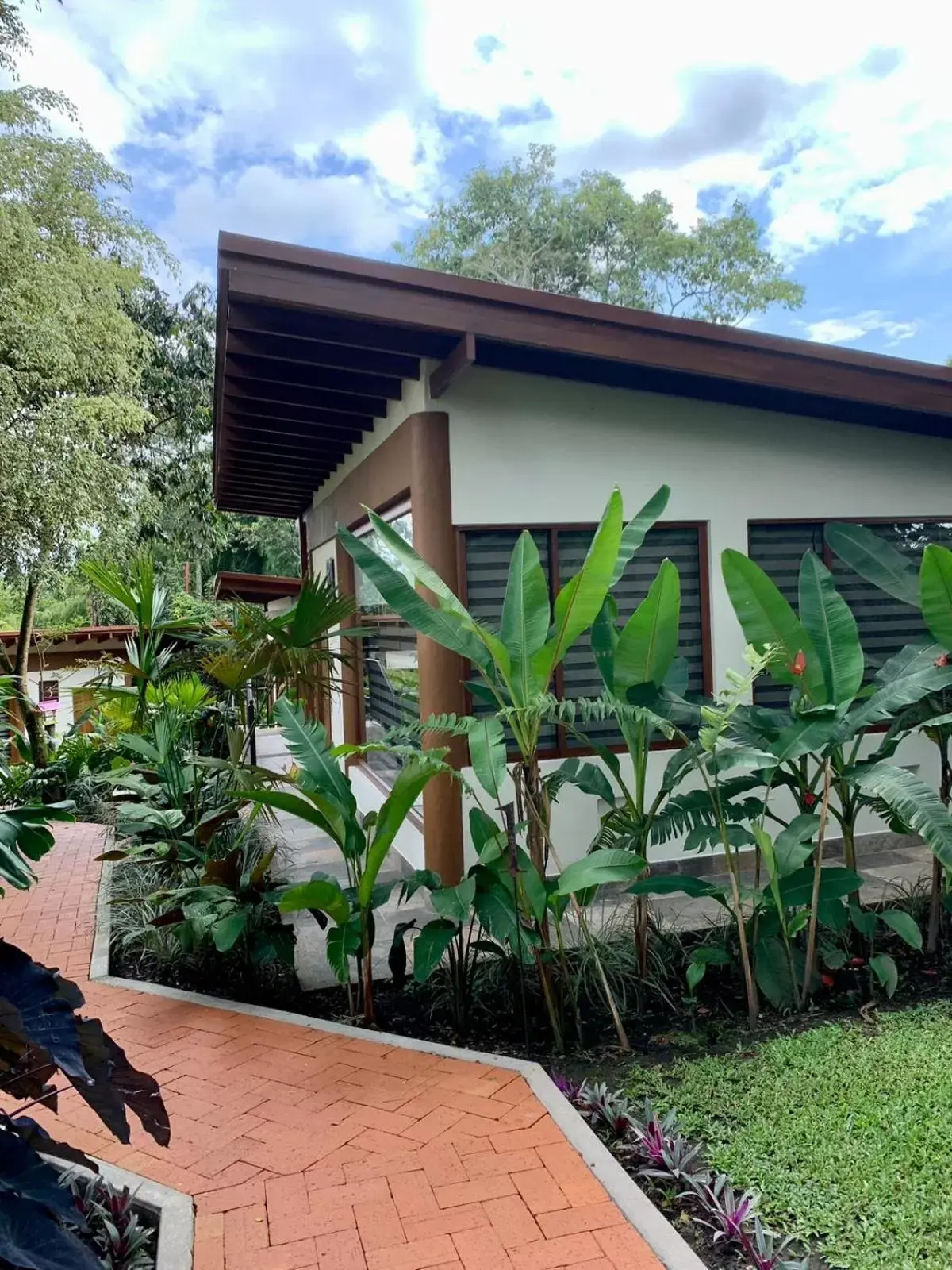 Deluxe Suite in Hotel Delirio Campestre Deluxe Suite in Hotel Delirio Campestre