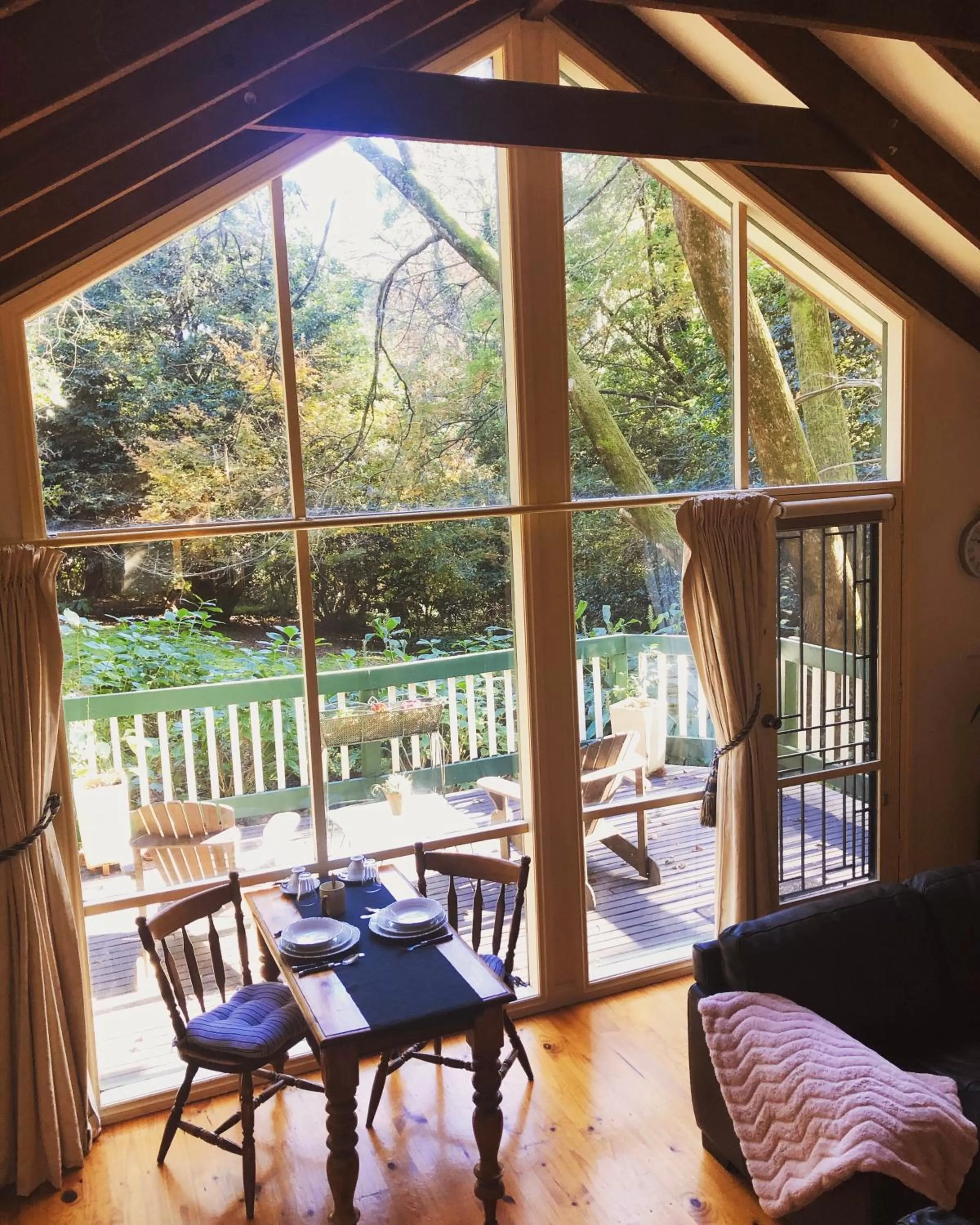 View (from property/room) in Cambridge Cottages