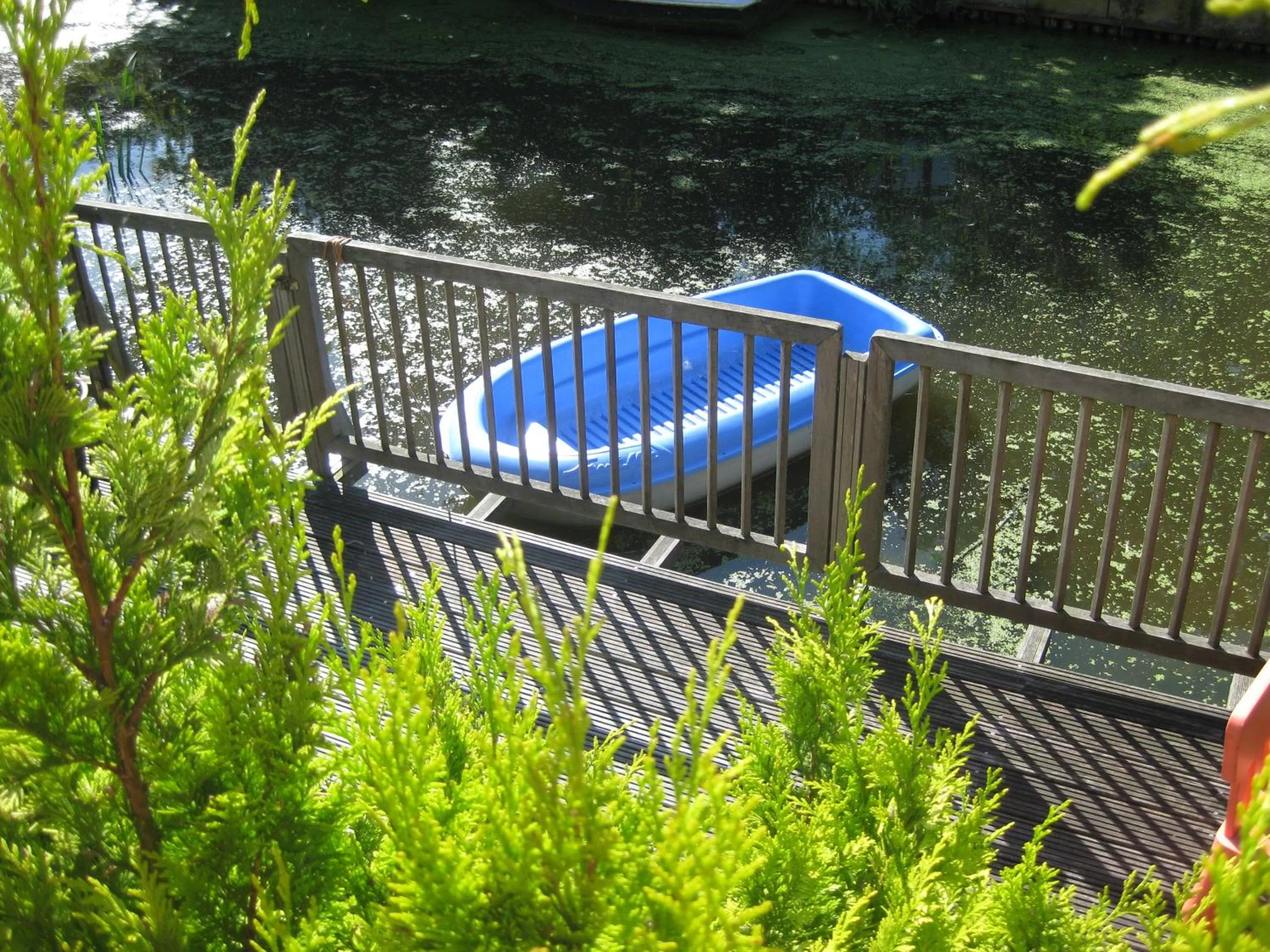 Garden, Pool View in Quarenta Studio