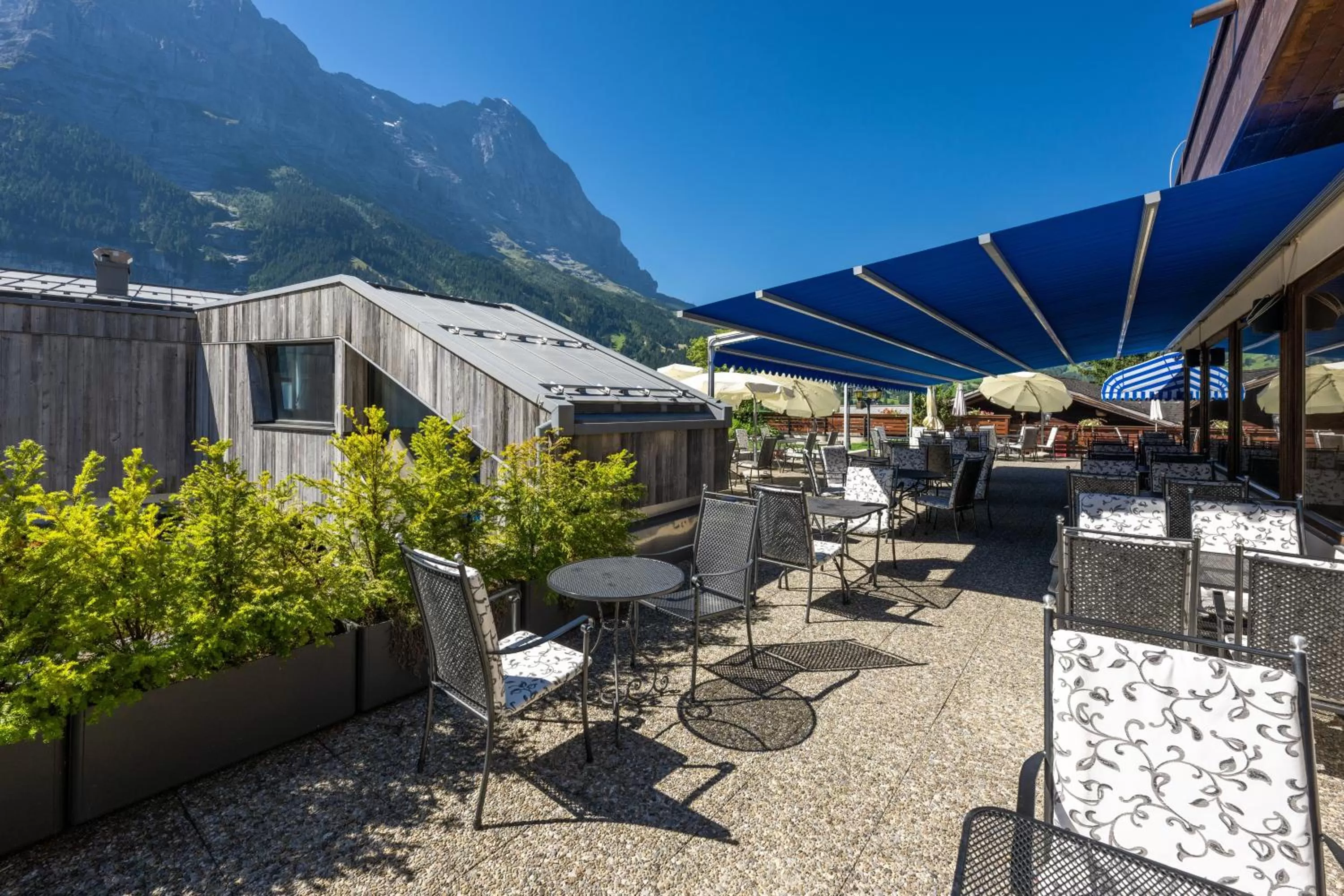 Restaurant/places to eat in Hotel Spinne Grindelwald