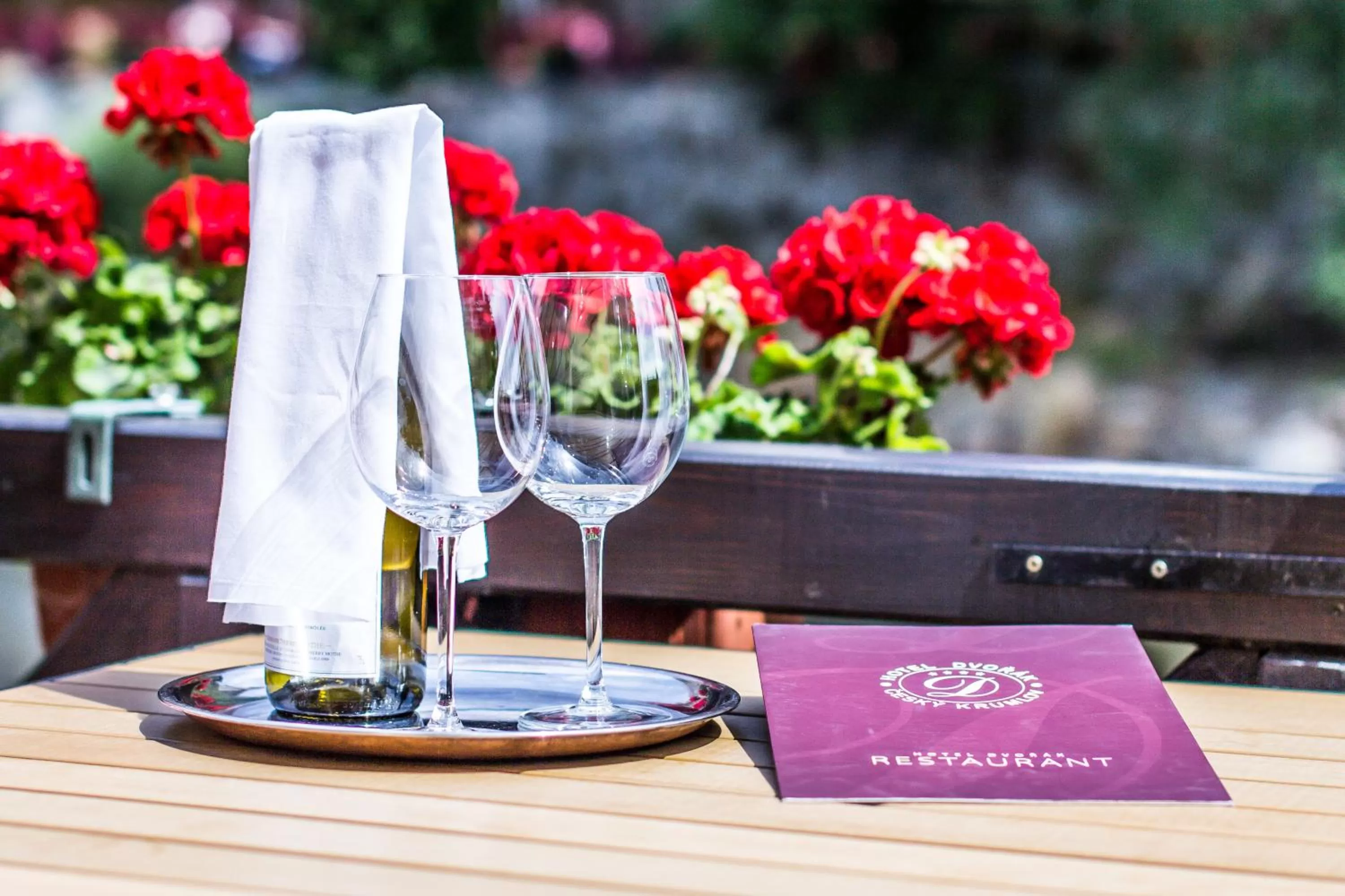 Logo/Certificate/Sign in Hotel Dvorak Cesky Krumlov