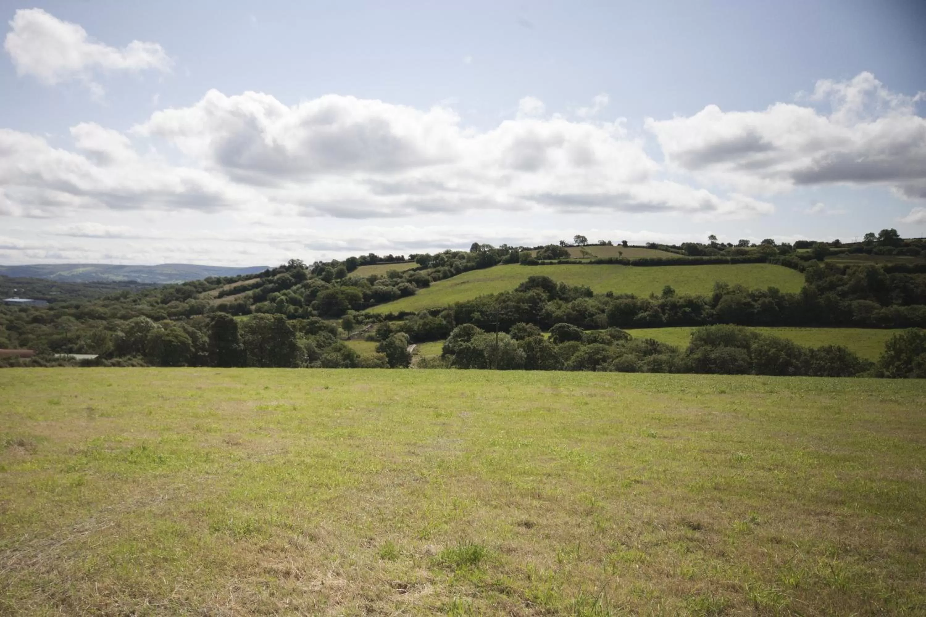 Natural landscape in Bryncoch