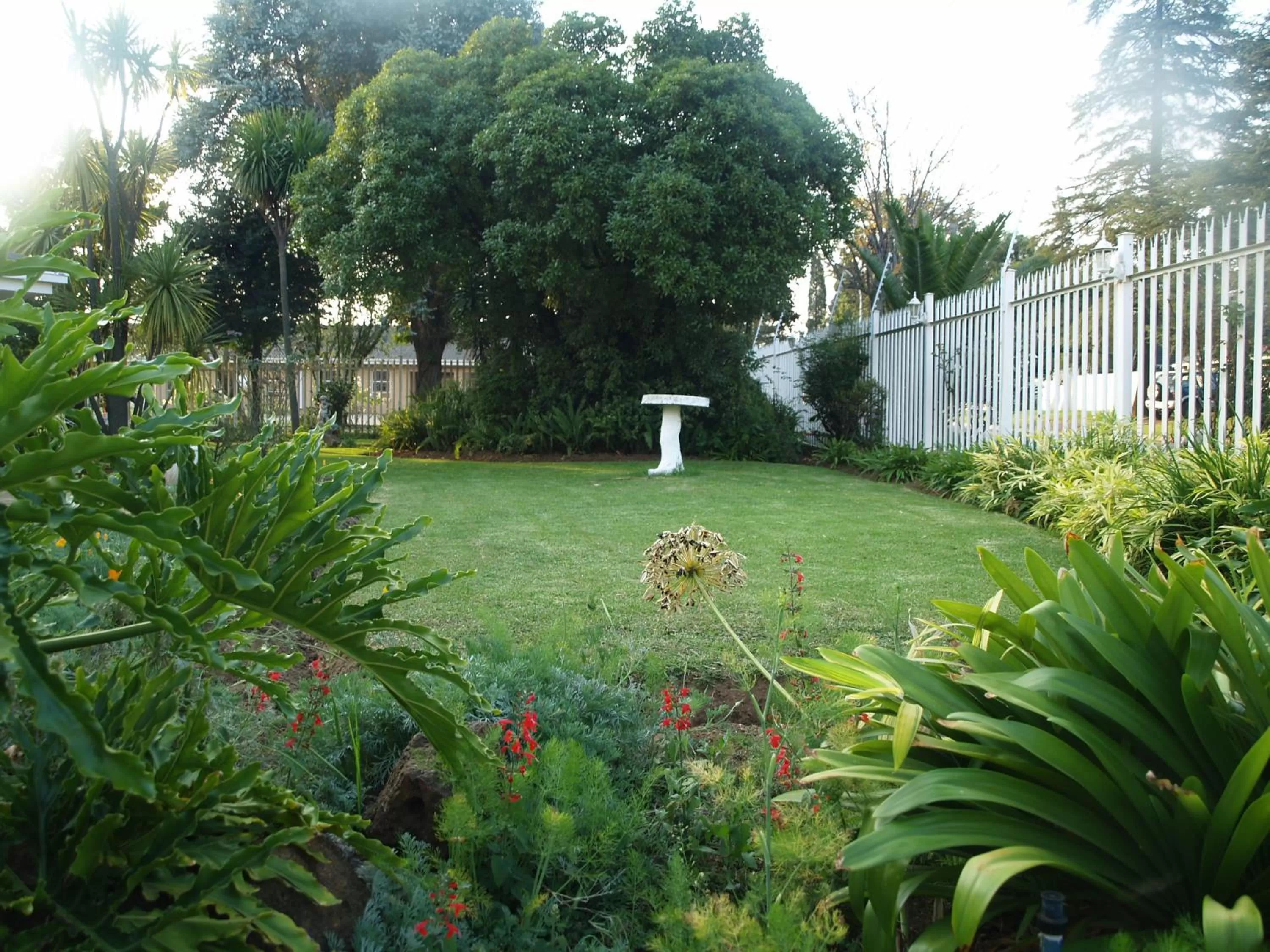 Garden view in Moye Guest House