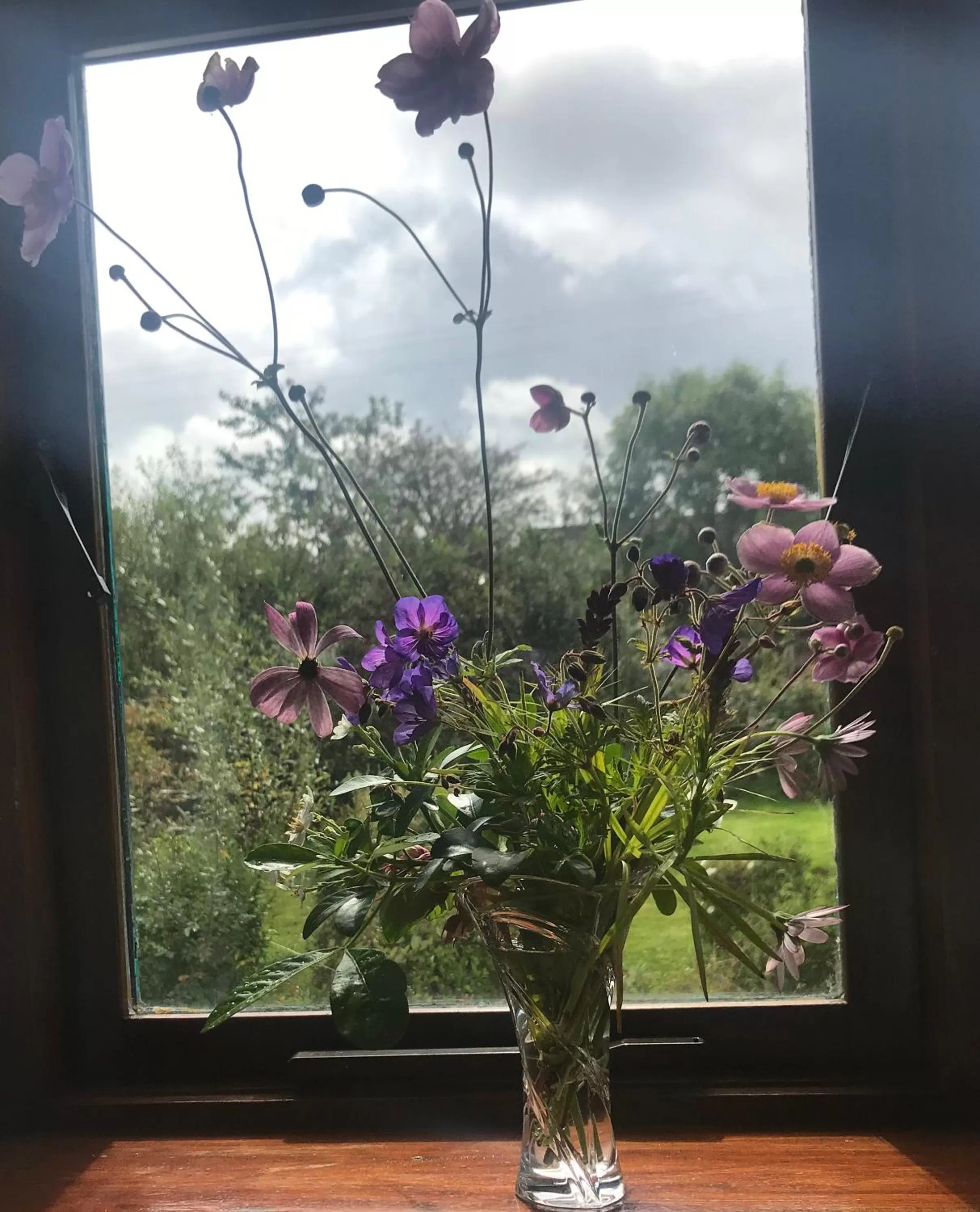 Garden view in Tranquil Water