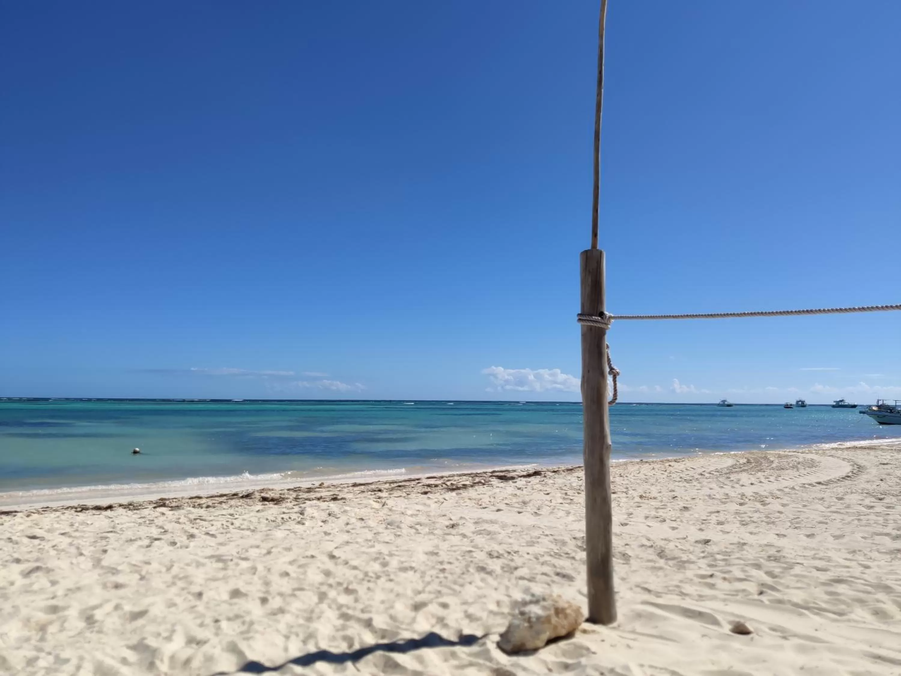 Beach in Bavaro Green