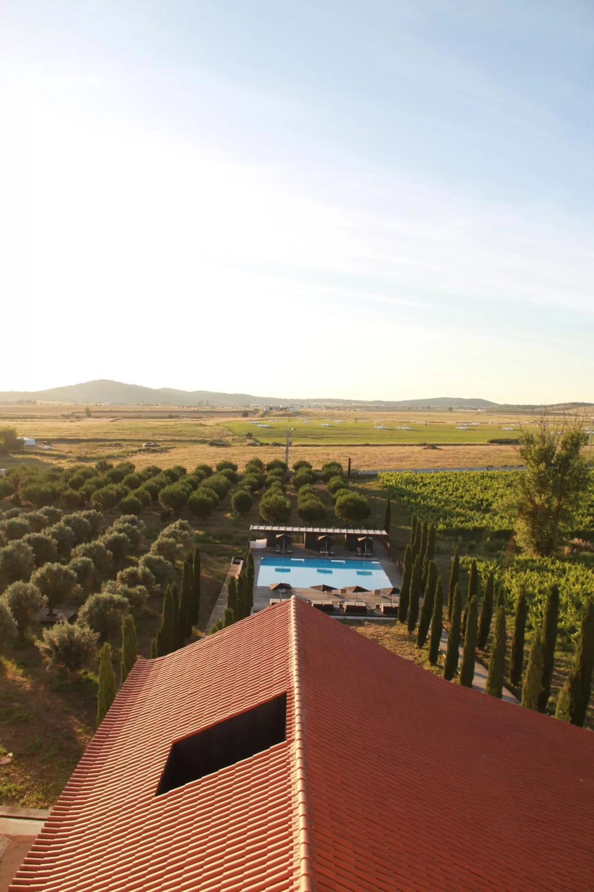 Natural landscape in Torre de Palma Wine Hotel, Monforte, a Member of Design Hotels