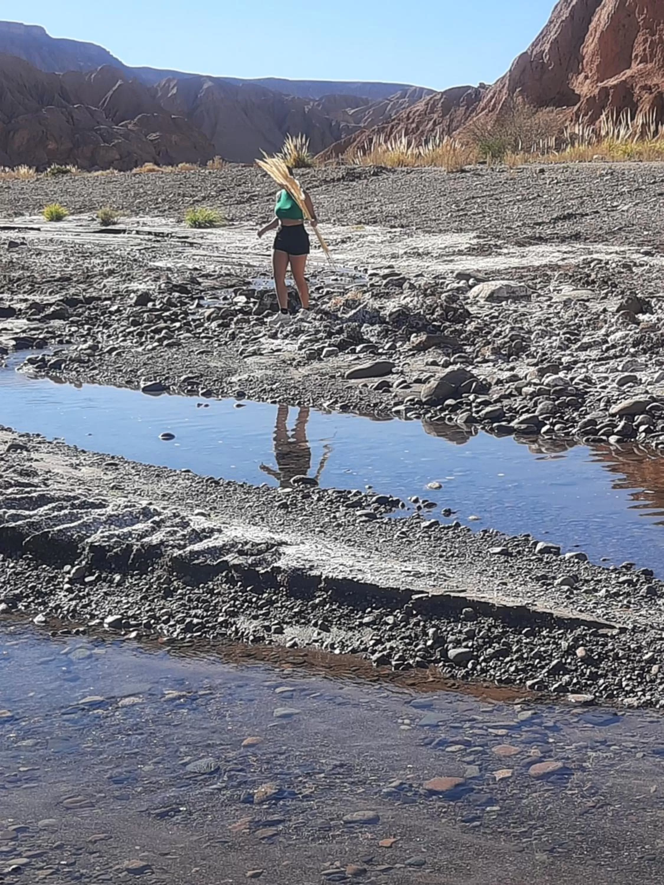 Natural landscape in Hostal Katarpe