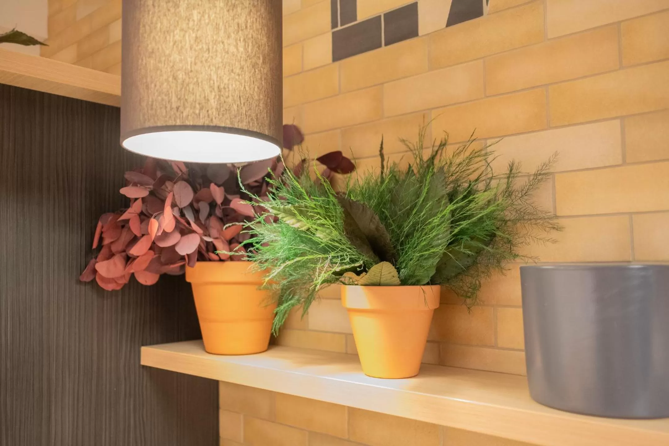 Decorative detail in CALM Appart' & Hostel