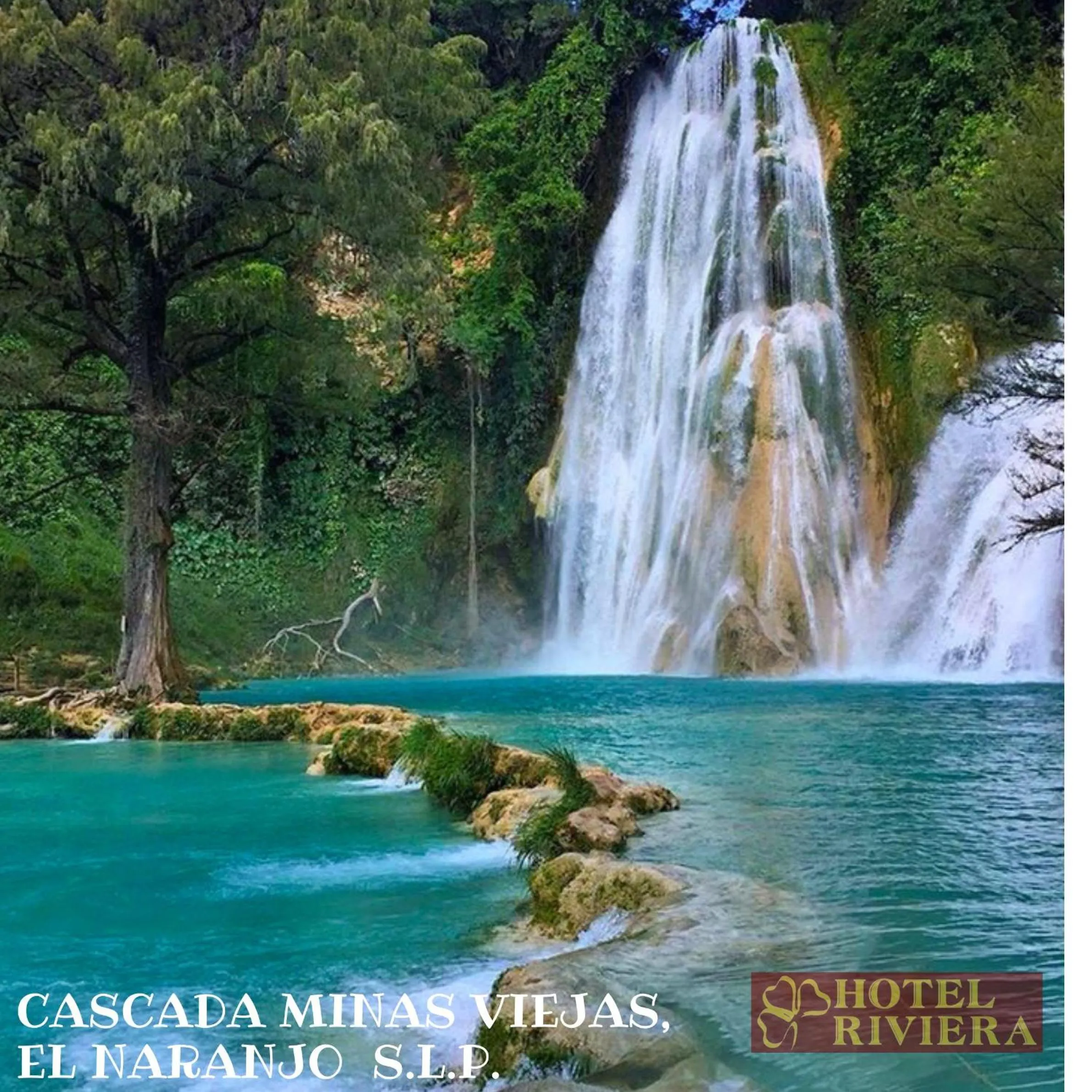 Natural landscape in Hotel Riviera