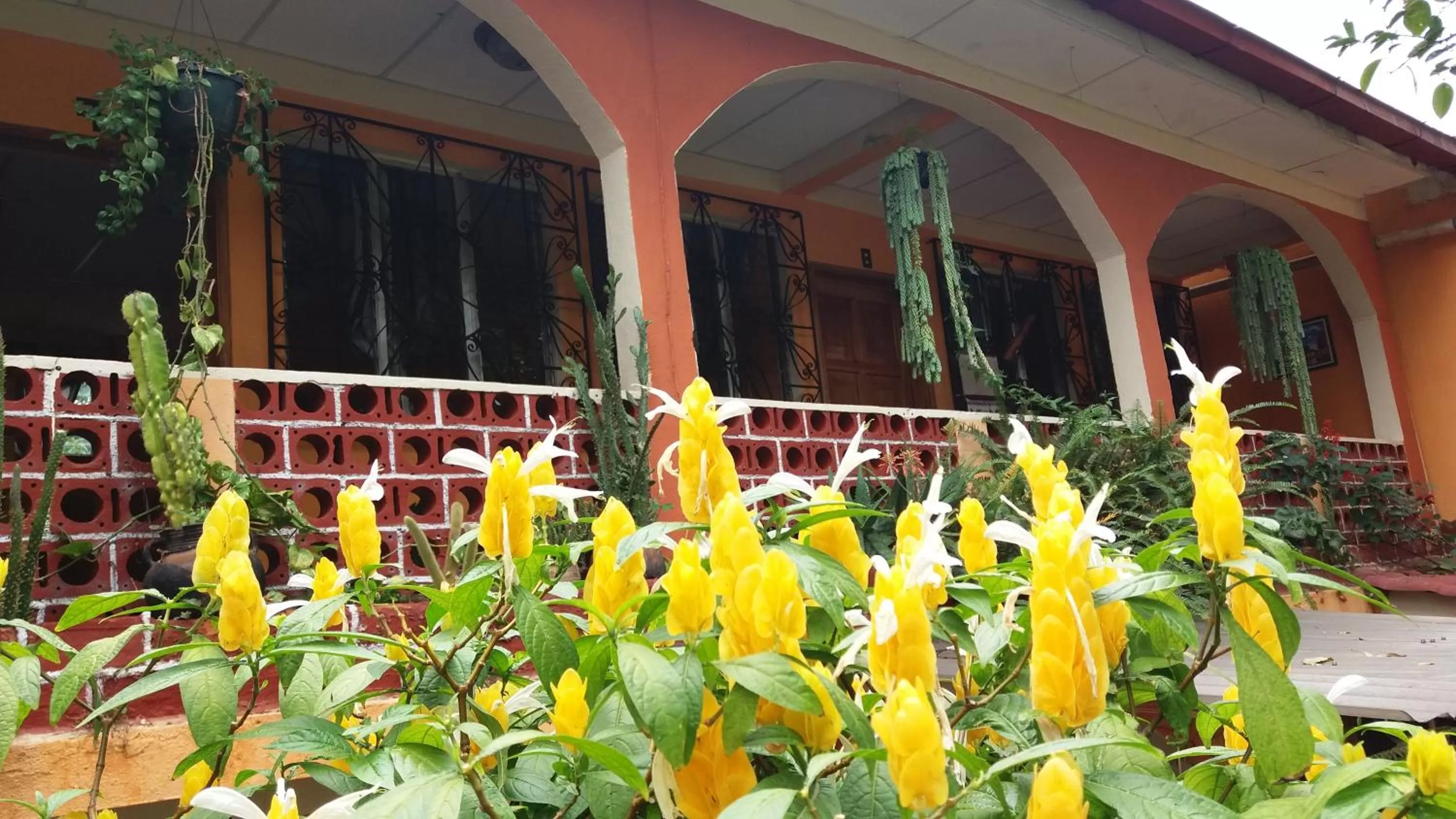 Area and facilities in Hospedaje El Viajero