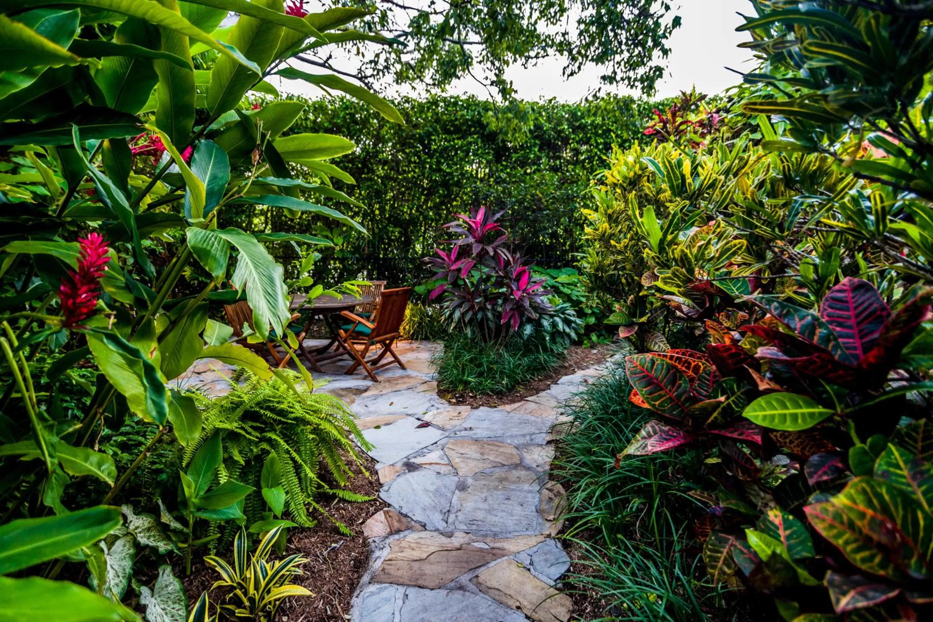 Garden in Crane's Beach House Boutique Hotel & Luxury Villas