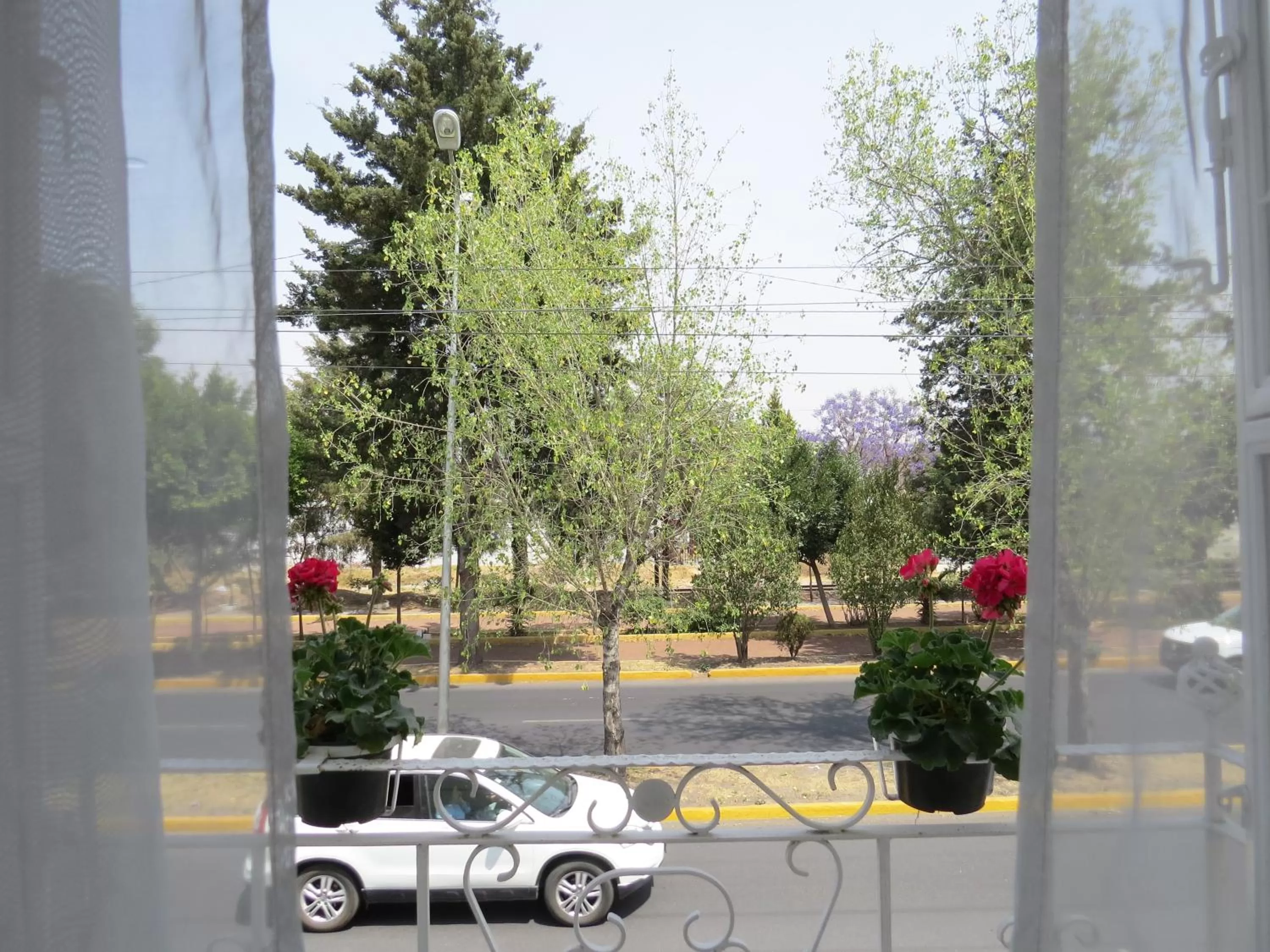 Street view in Hotel Royal Puebla