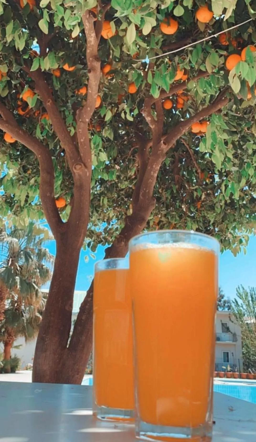 Restaurant/places to eat in Kiriş Garden Hotel