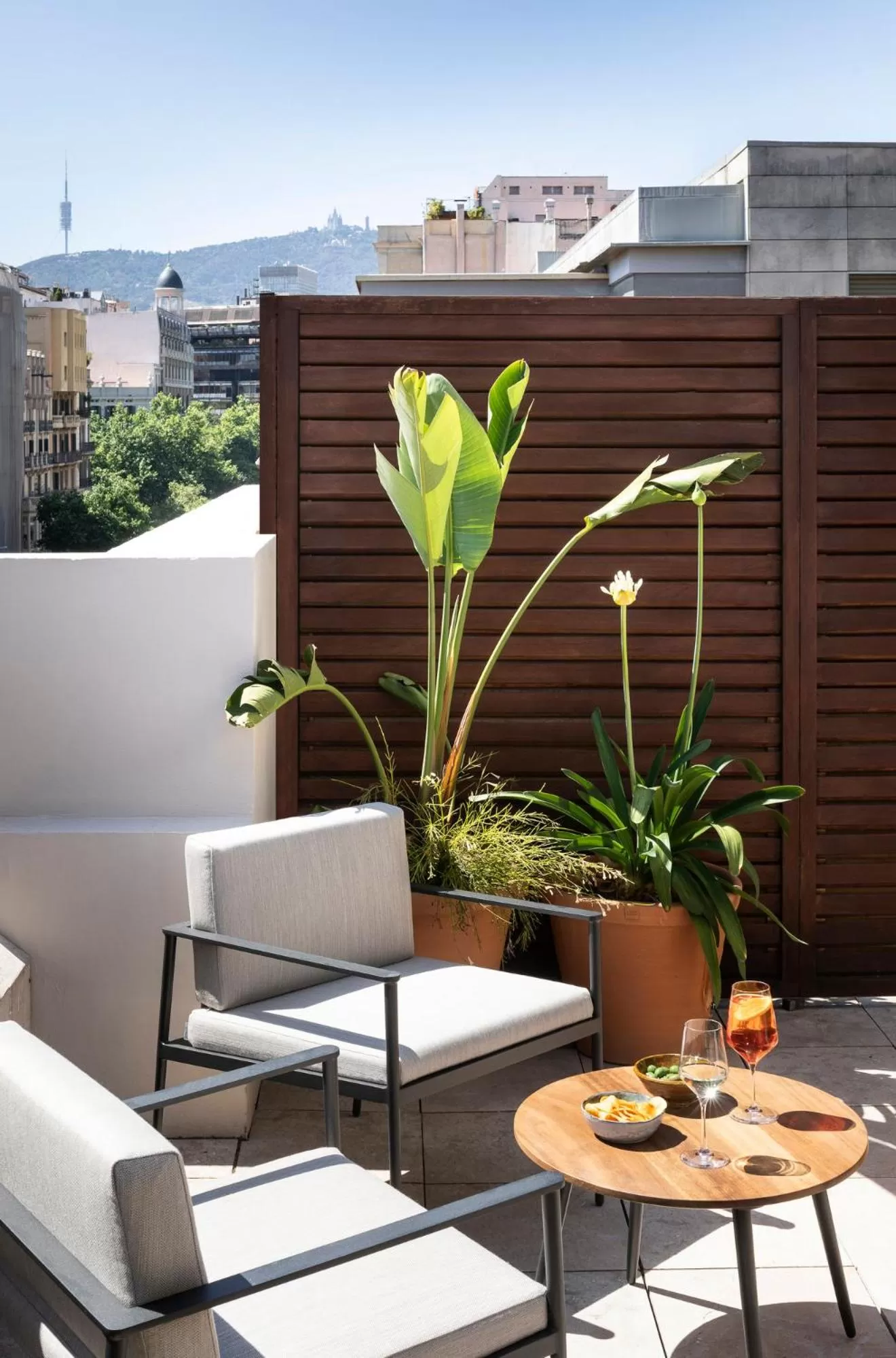 Balcony/Terrace in Hotel Casa Sagnier