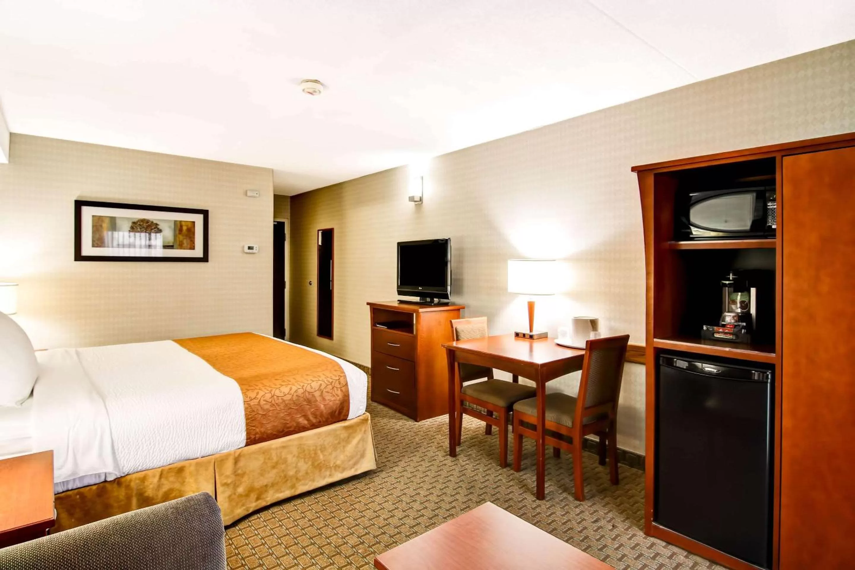 Photo of the whole room, Bed in Quality Inn