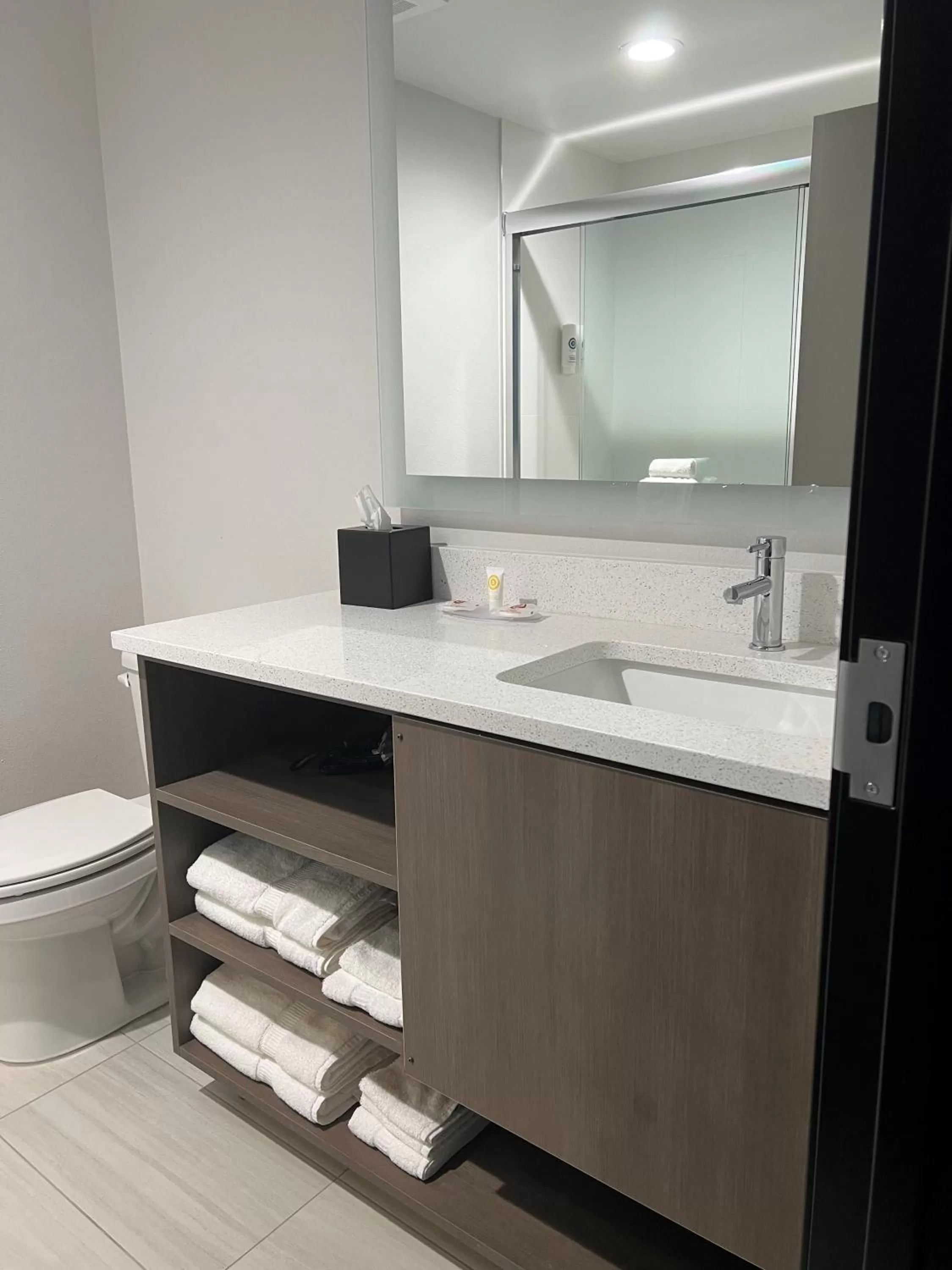 Bathroom in Comfort Inn & Suites New Port Richey Downtown District